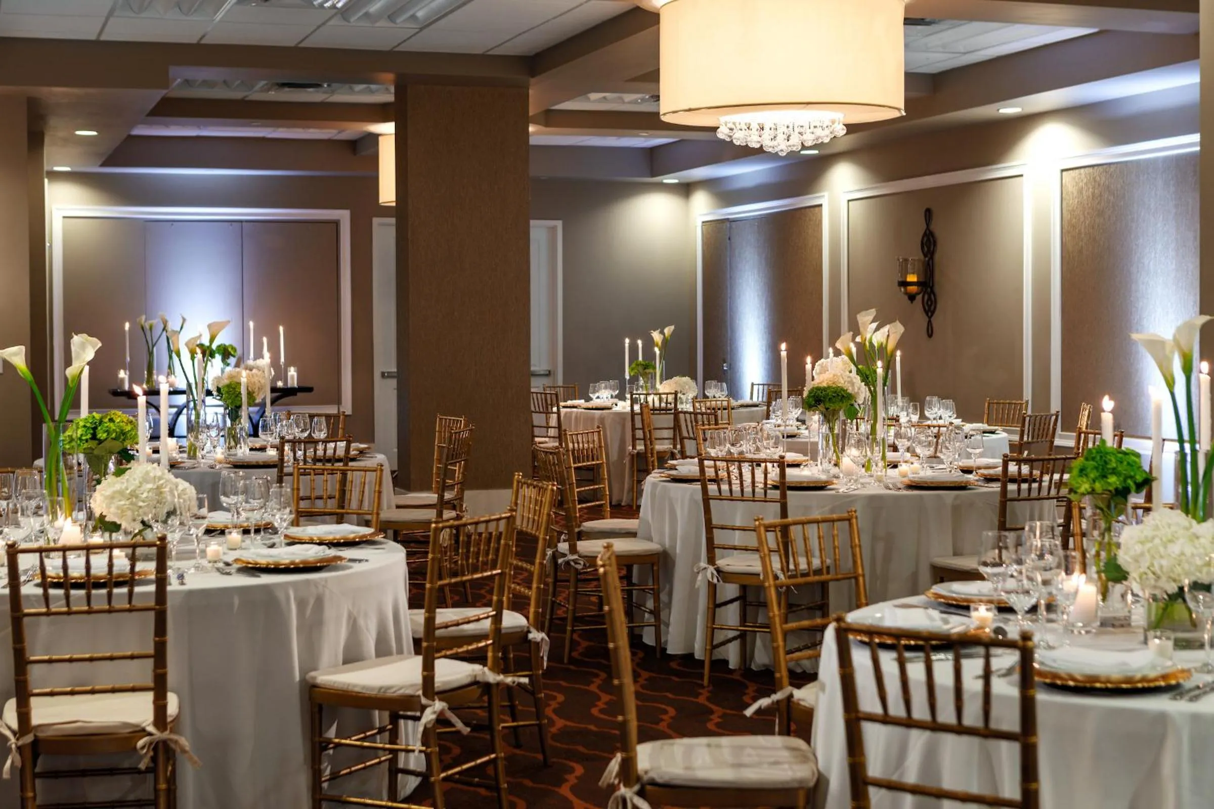 Banquet/Function facilities in The Hotel Zamora