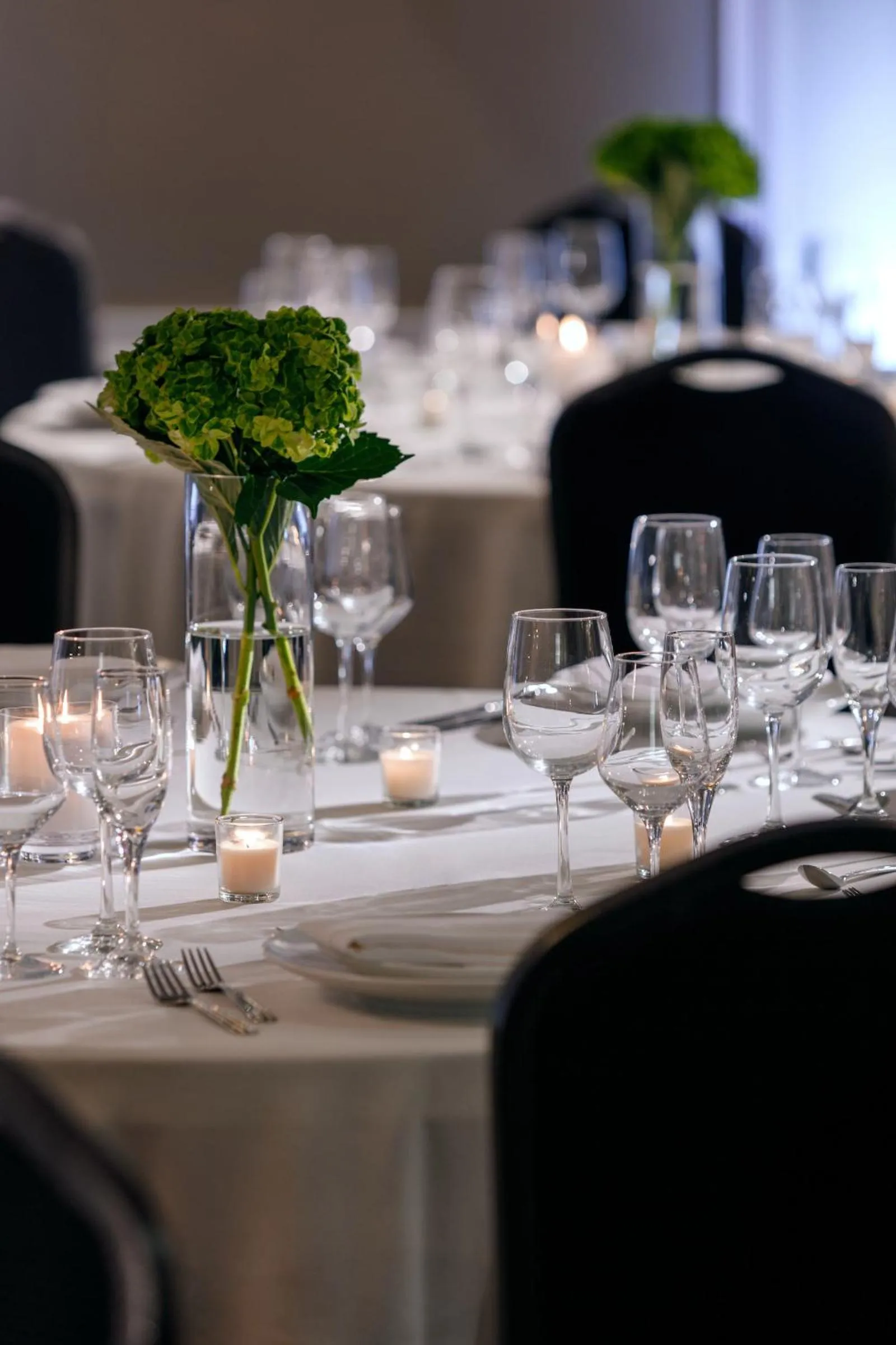 Banquet/Function facilities in The Hotel Zamora