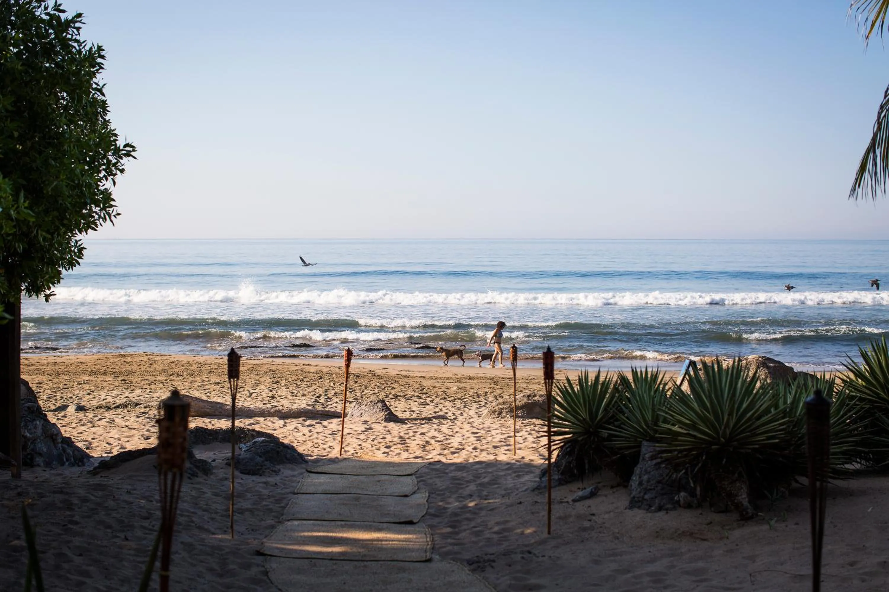 Beach in Present Moment Retreat