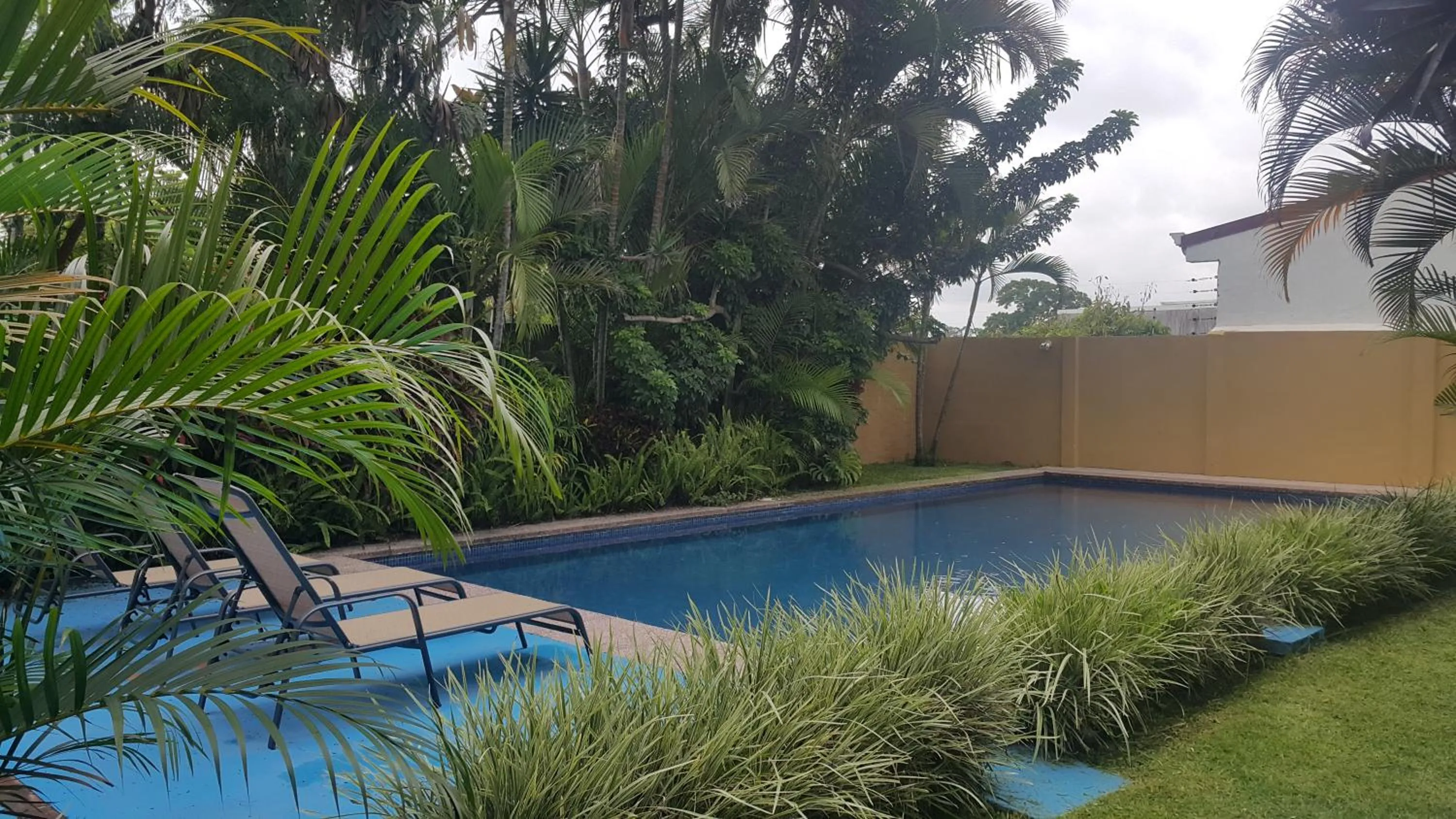 Garden in Hotel Portal Colonial