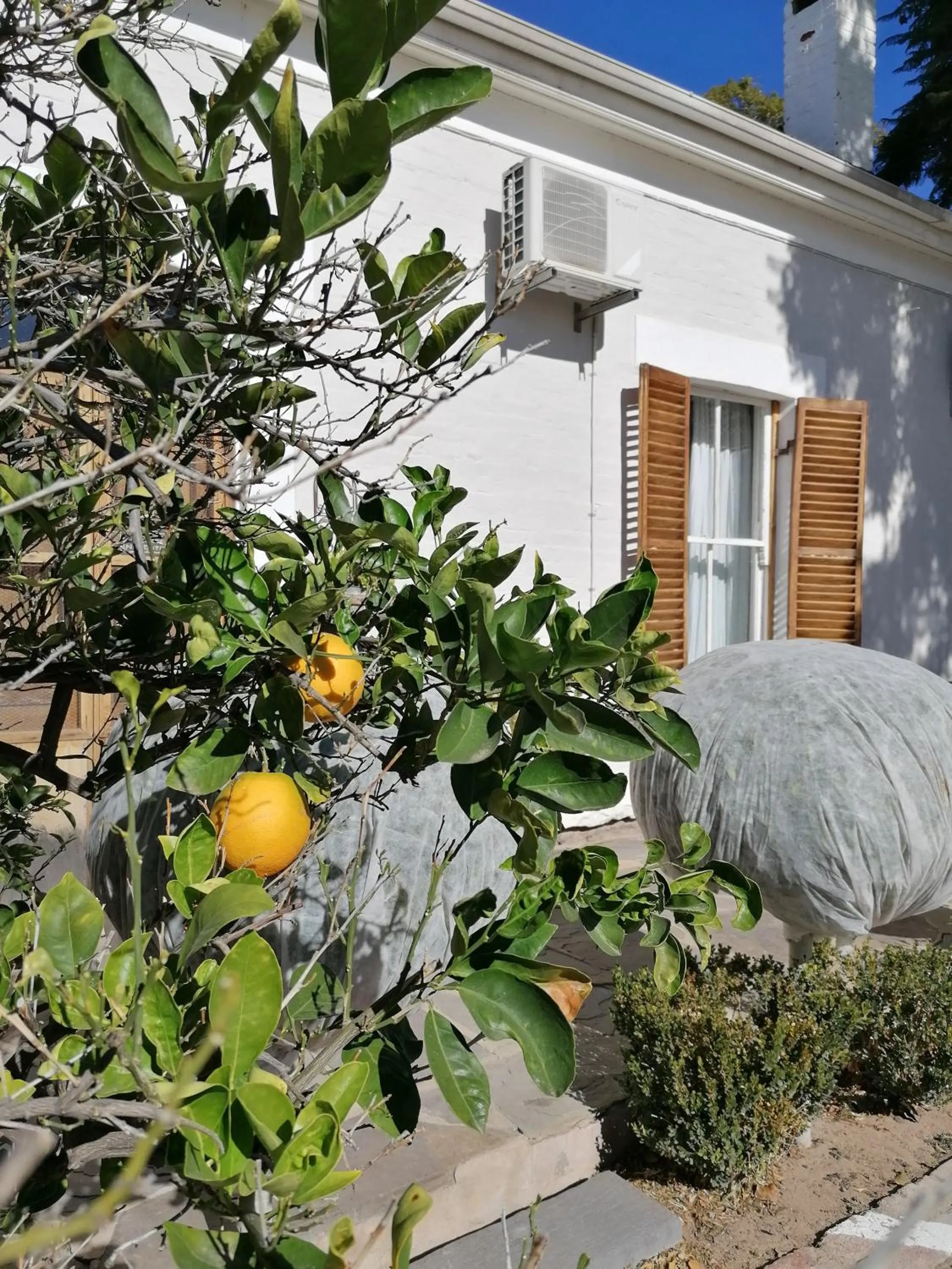 Winter in Die Herehuis