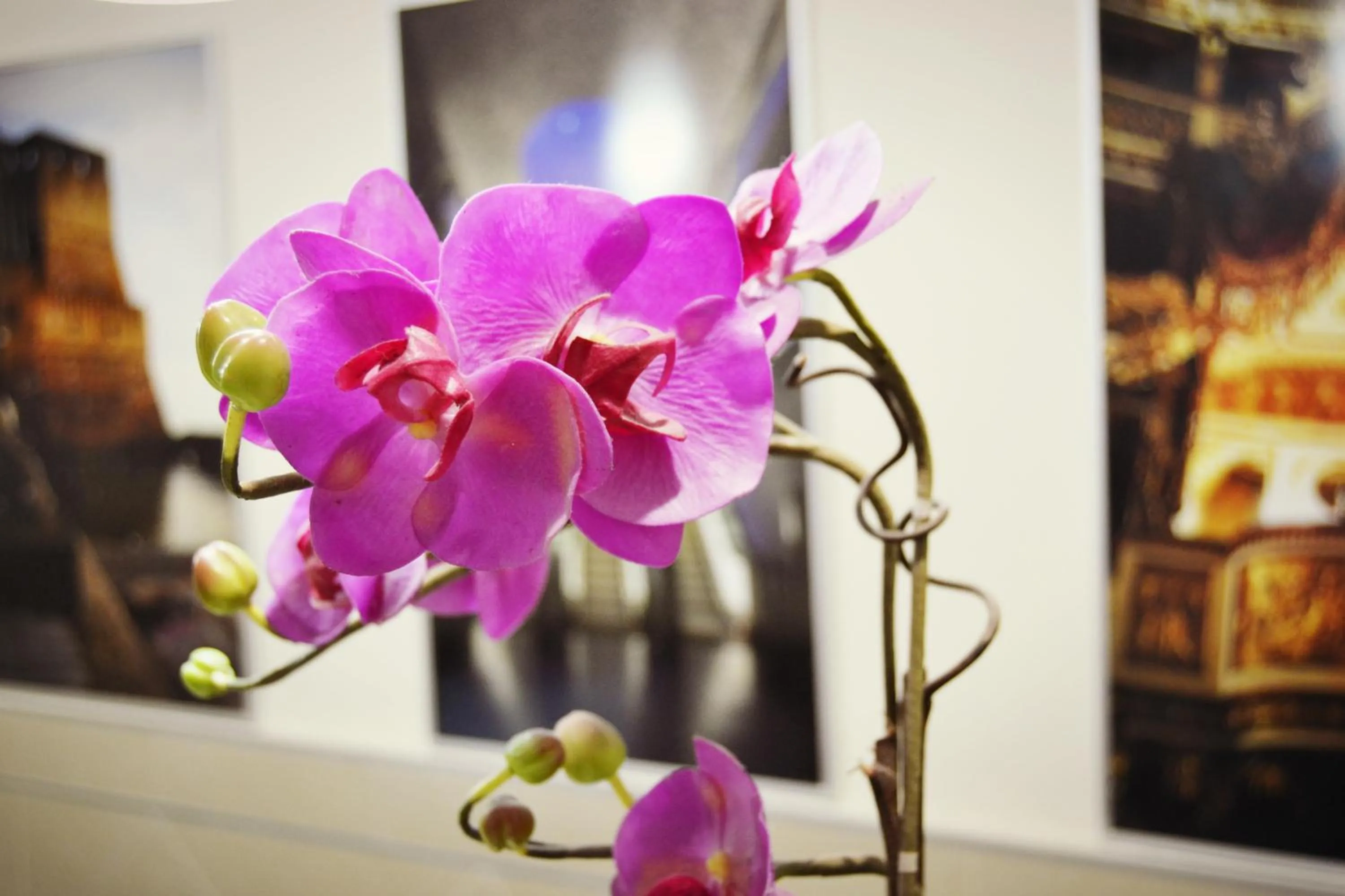 Lobby or reception in Hotel Colombo