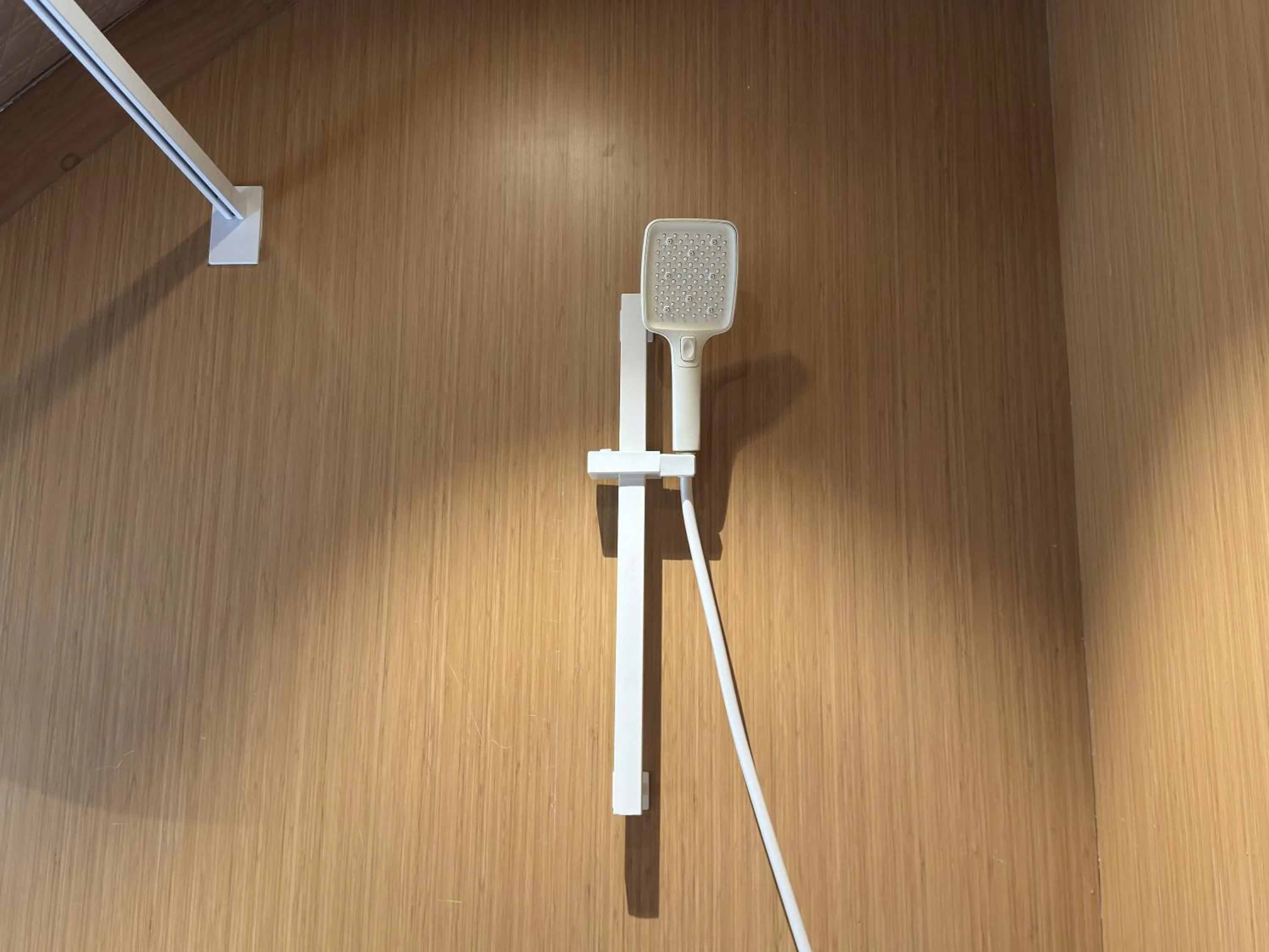 Toilet in Found Mansion