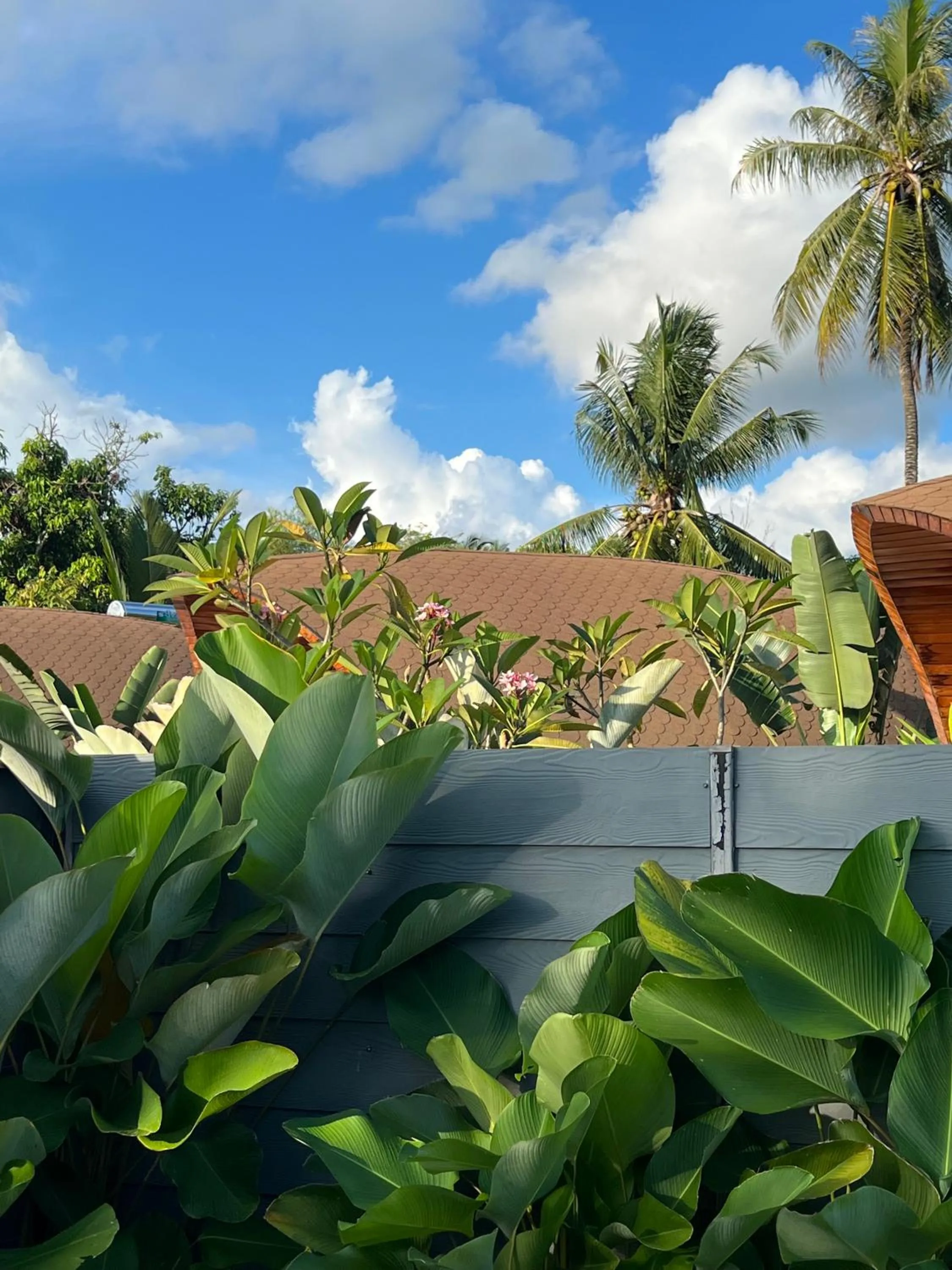 Property building in Found Mansion