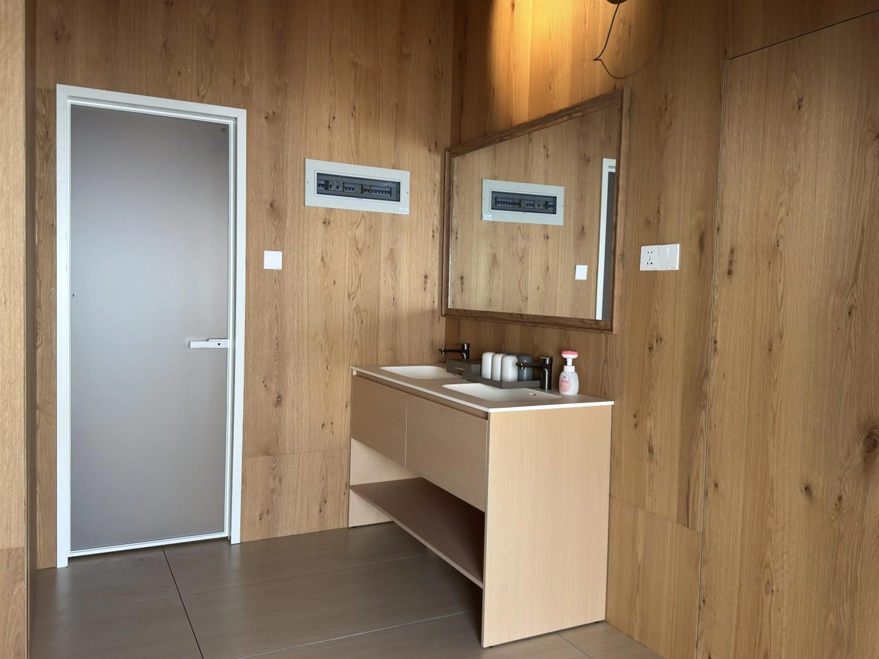 Toilet in Found Mansion