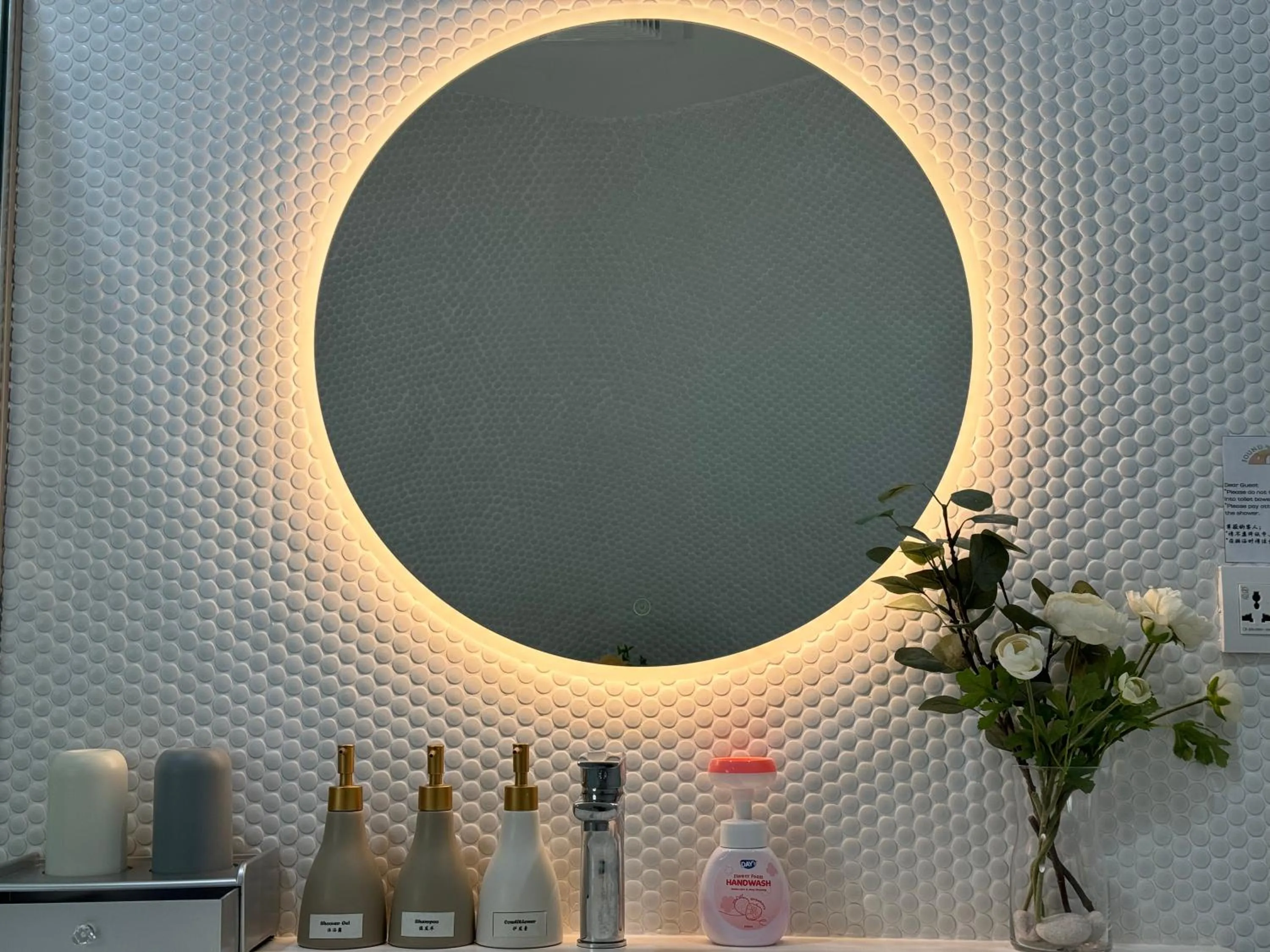 Toilet in Found Mansion