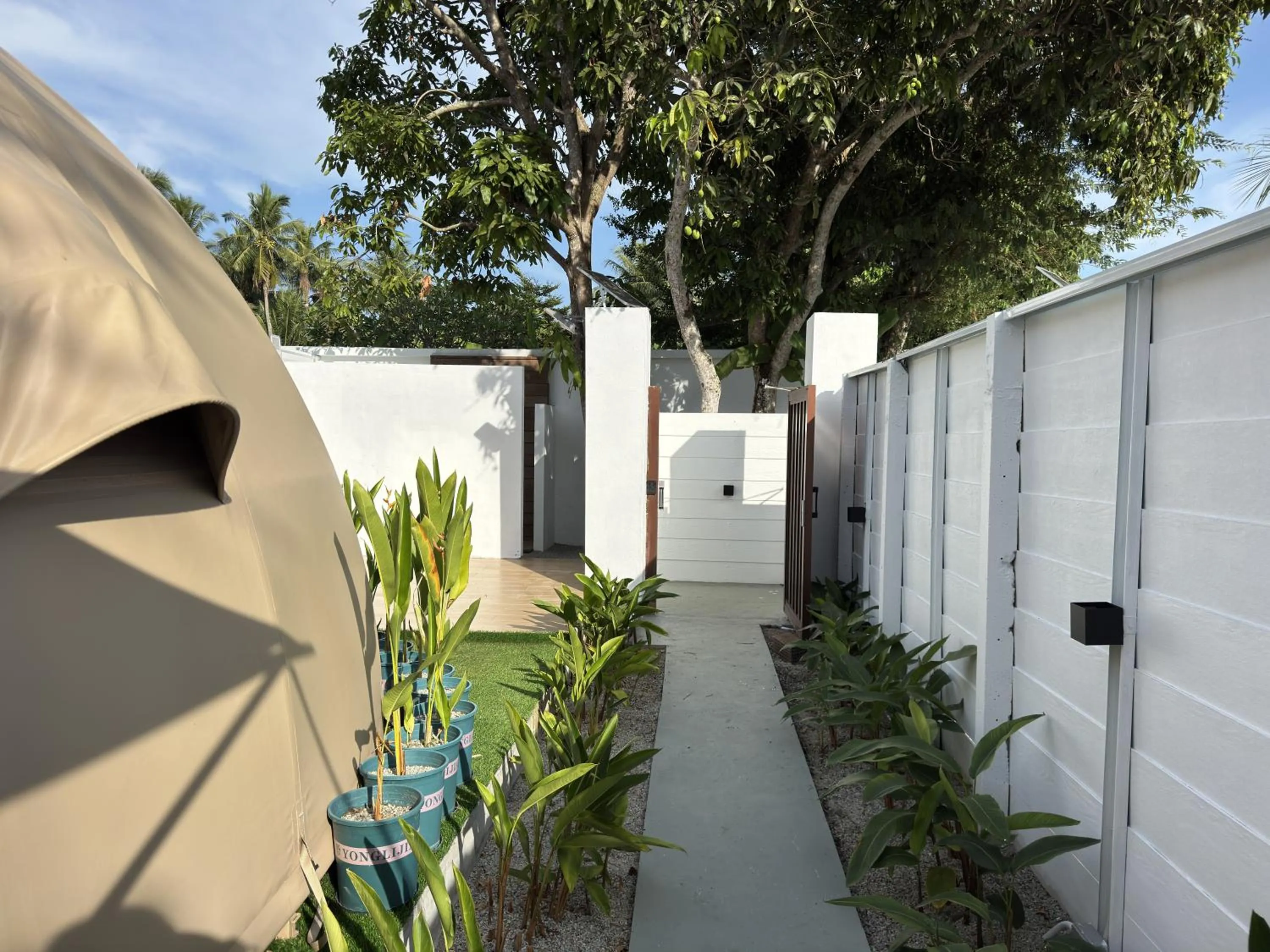 Garden in Found Mansion