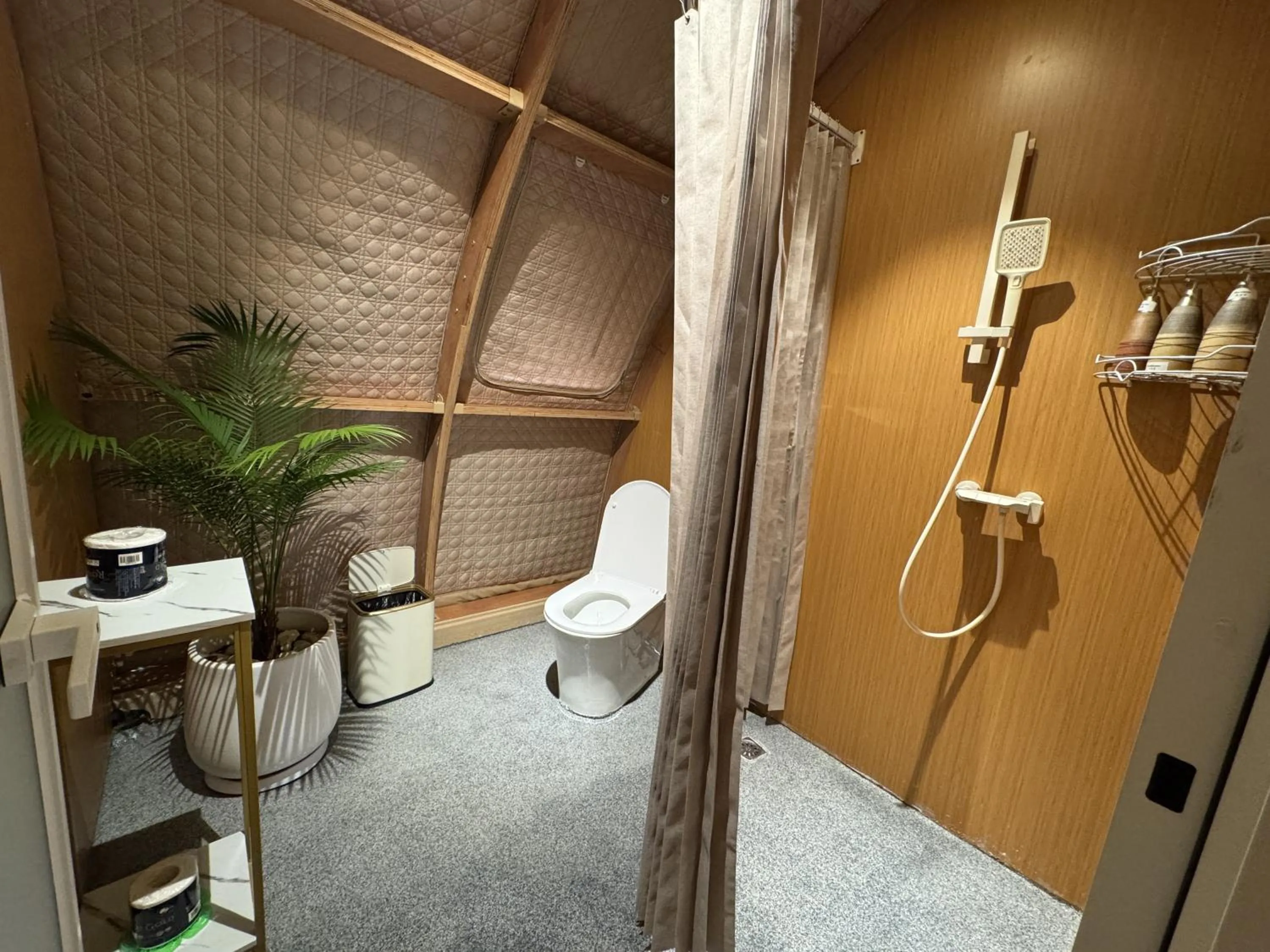 Toilet in Found Mansion