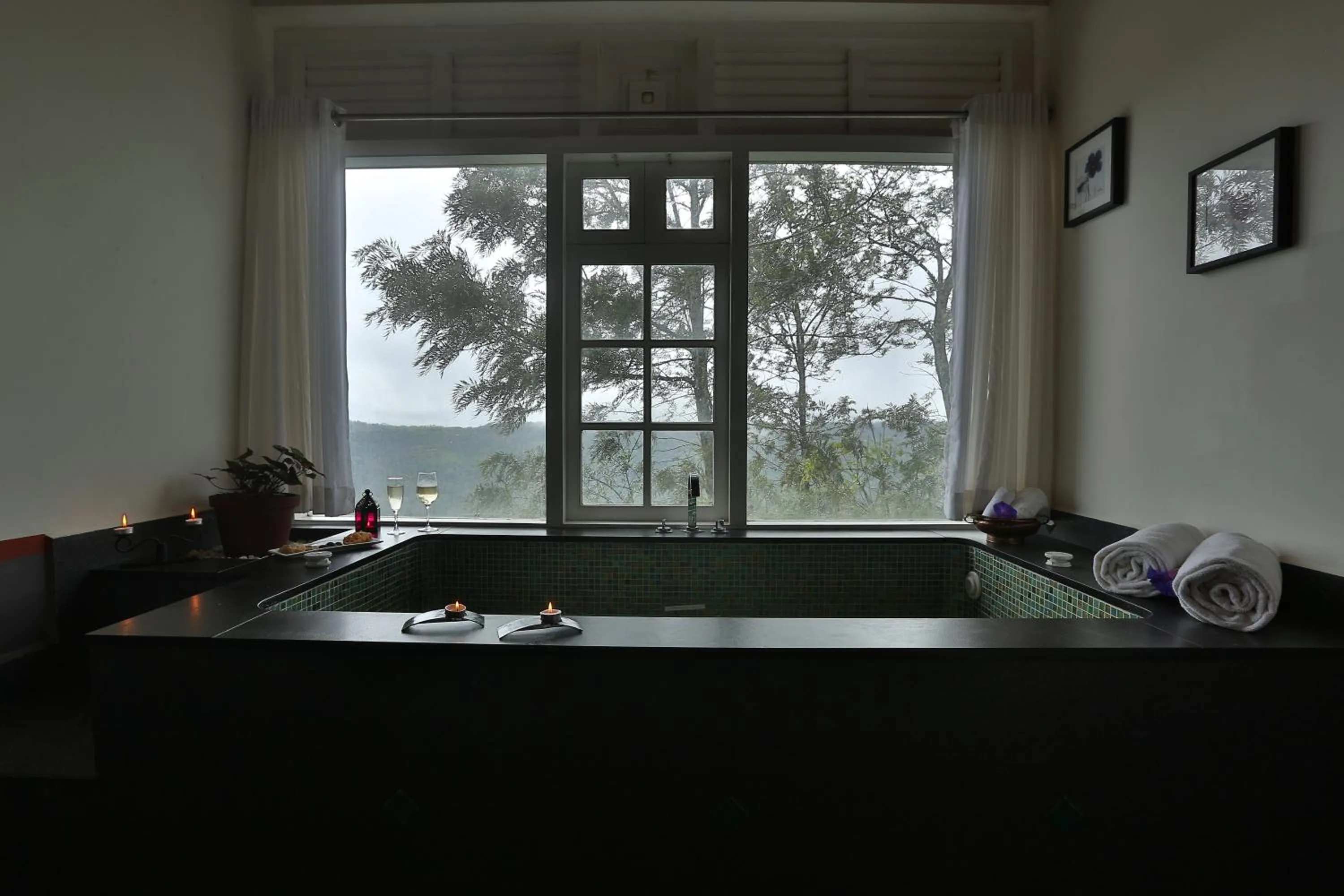 Other in SpiceTree Munnar