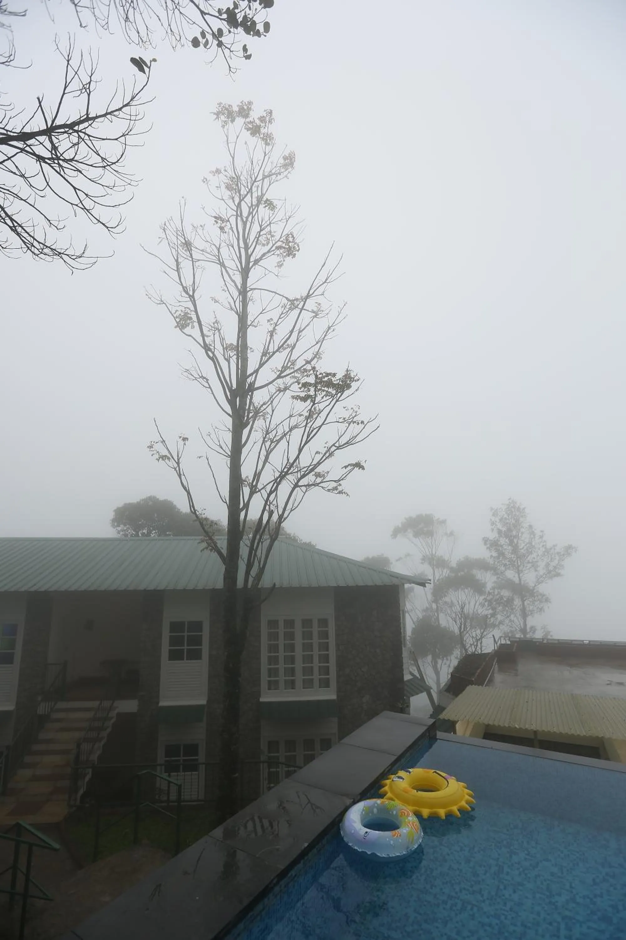 Other in SpiceTree Munnar