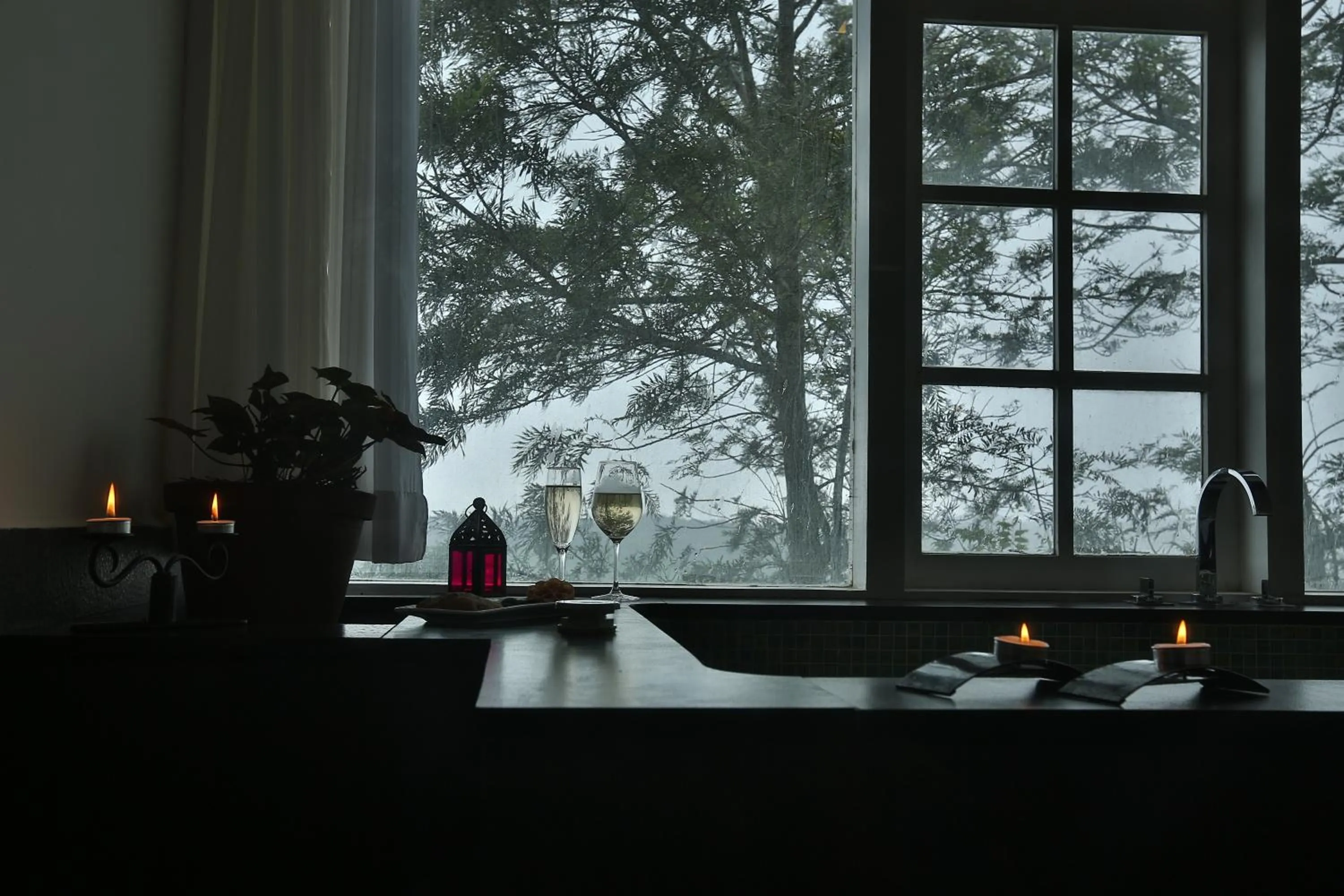 Other in SpiceTree Munnar