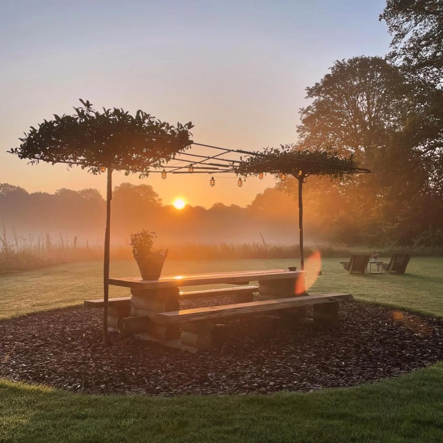 Garden in Domestico Bed & Breakfast