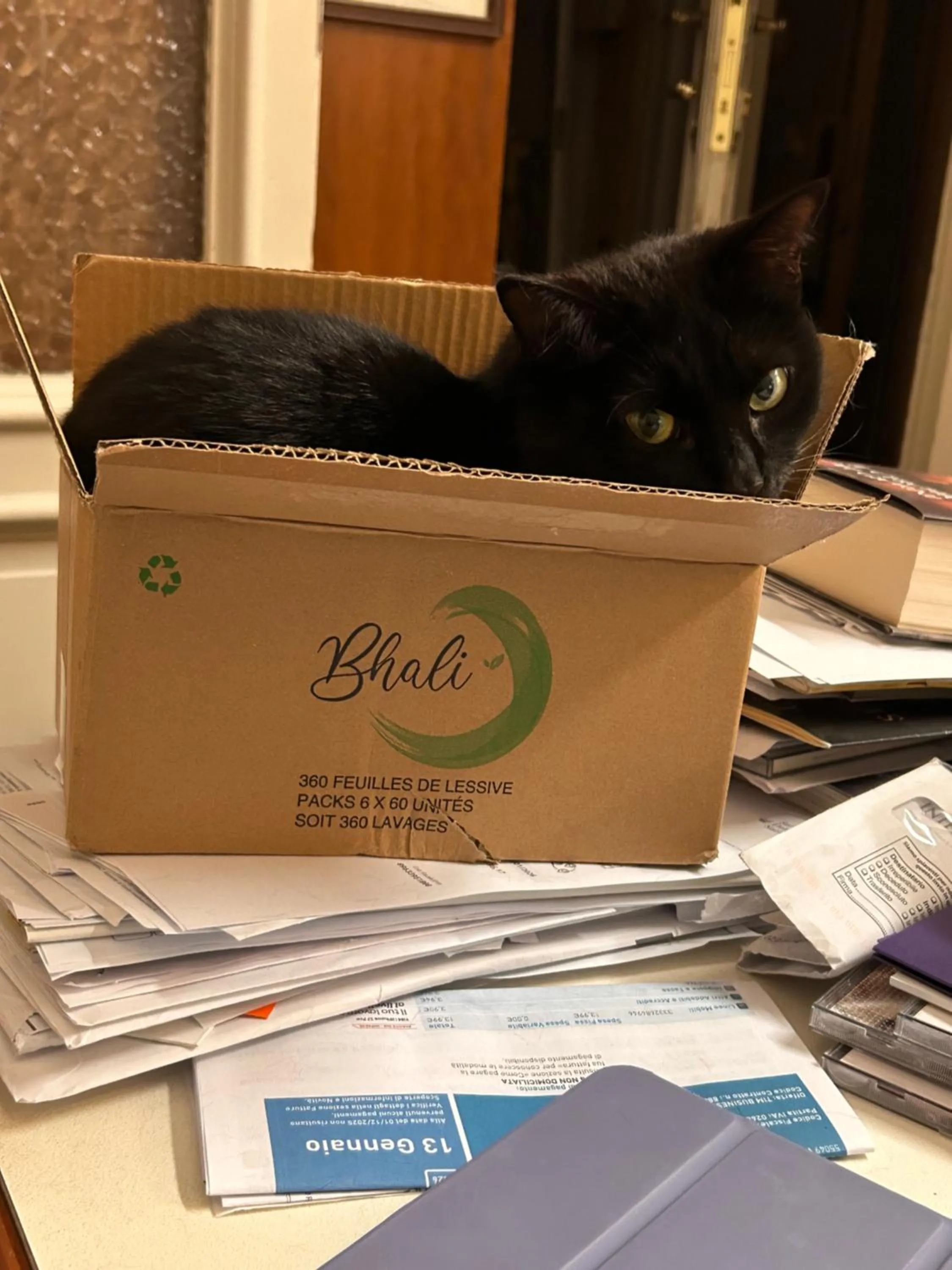 Pets in Hotel Lukas Vegetarian & Vegan