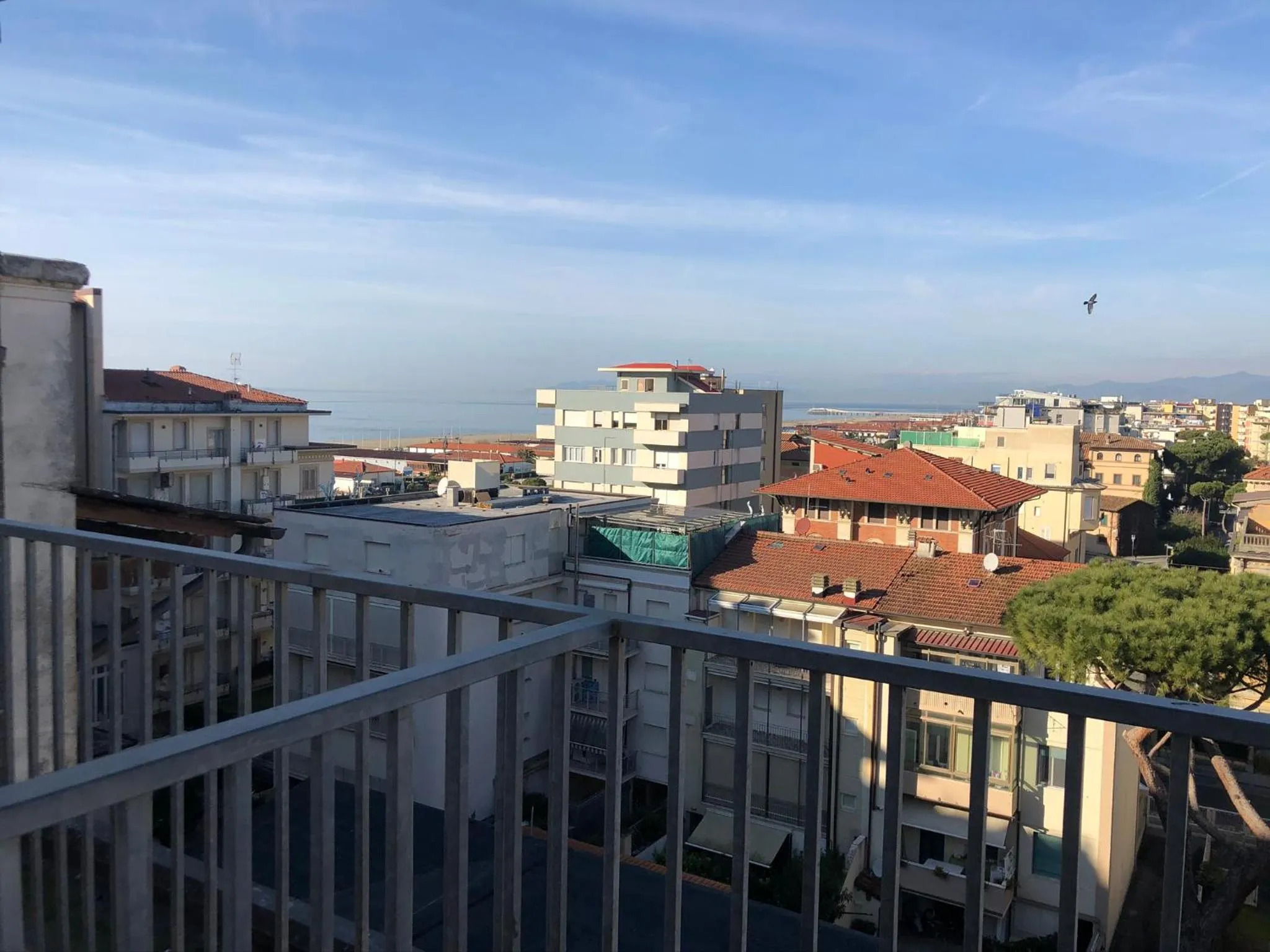 City view in Hotel Lukas Vegetarian & Vegan