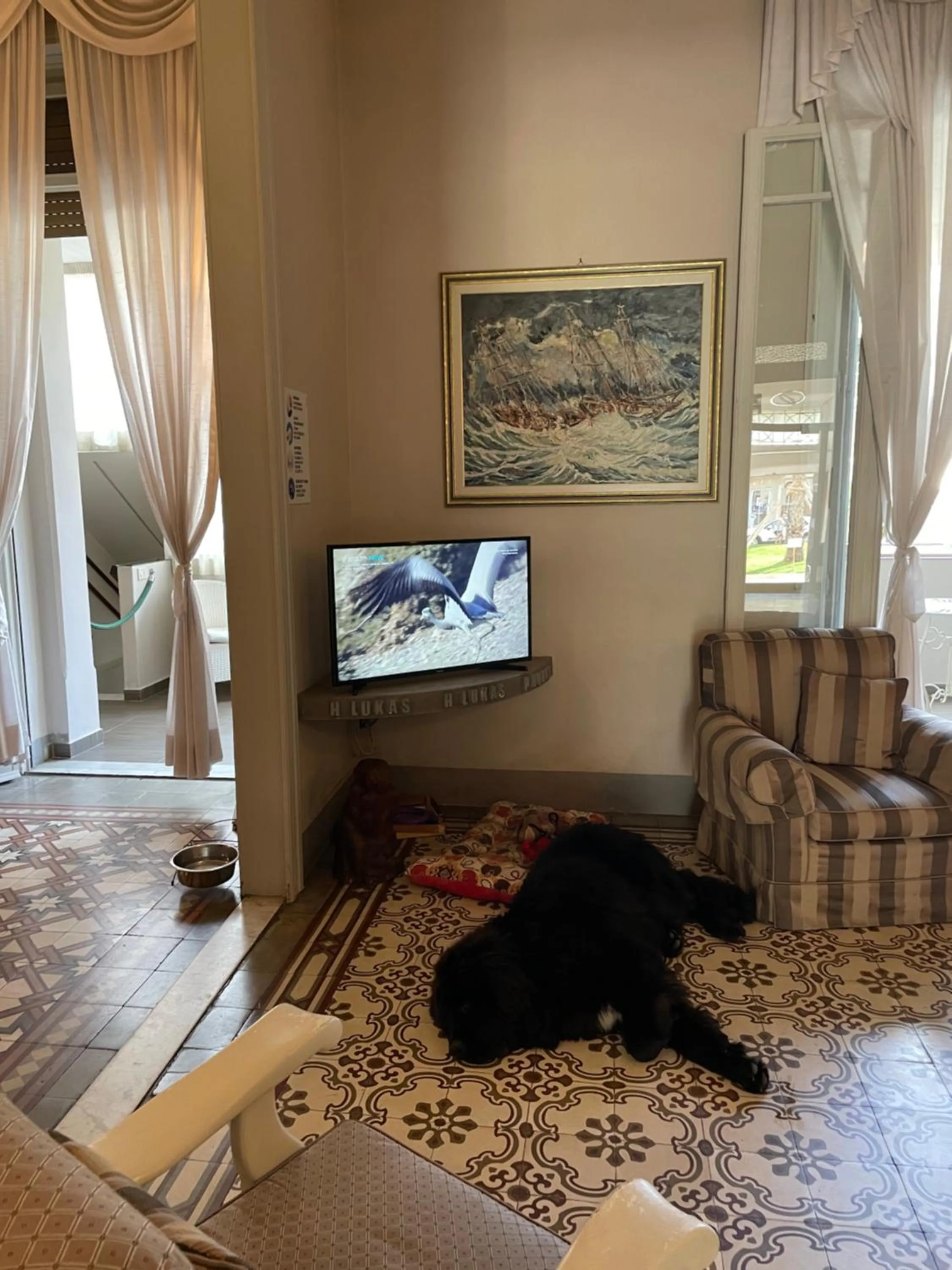 Communal lounge/ TV room in Hotel Lukas Vegetarian & Vegan