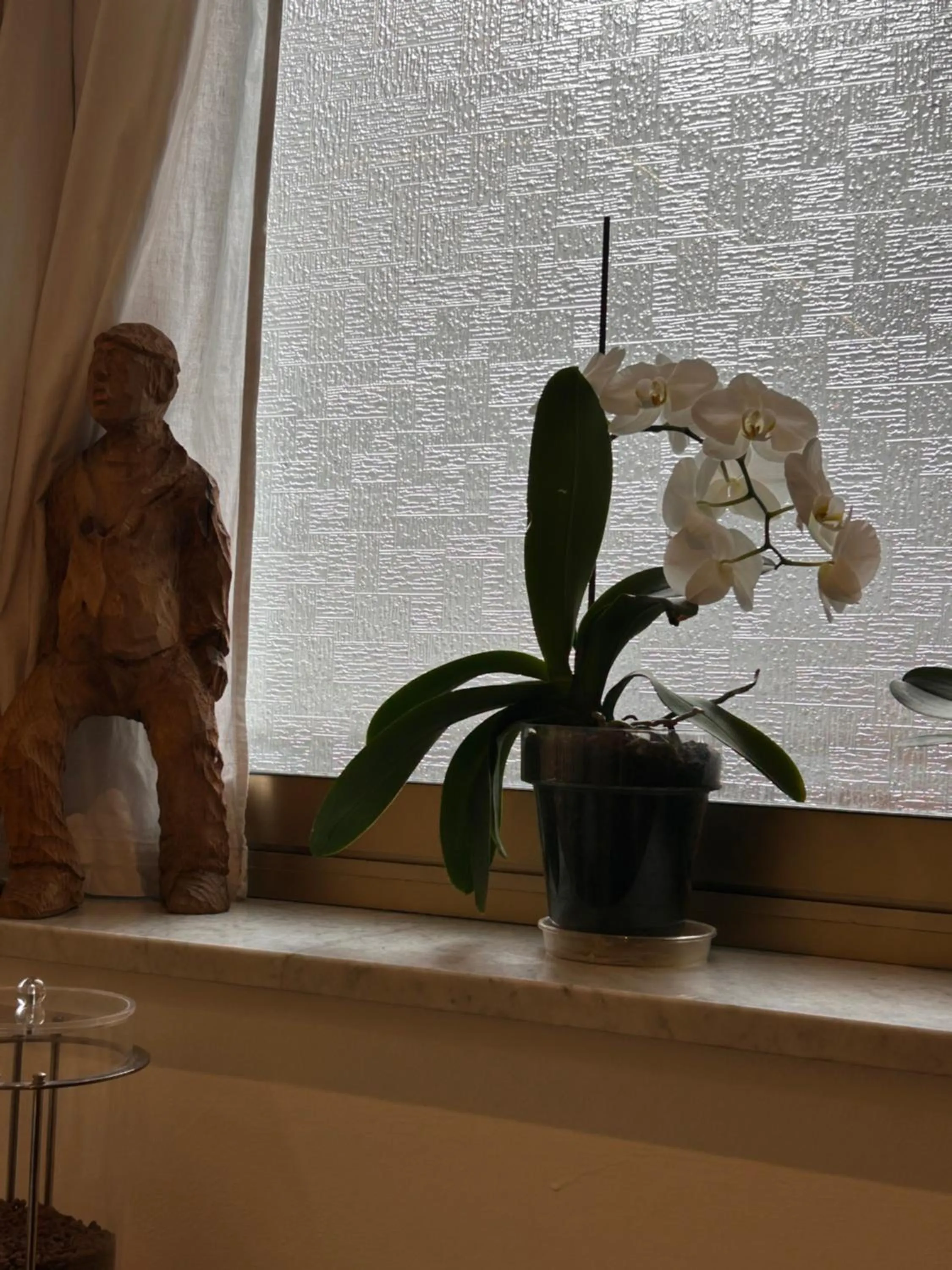 Decorative detail in Hotel Lukas Vegetarian & Vegan