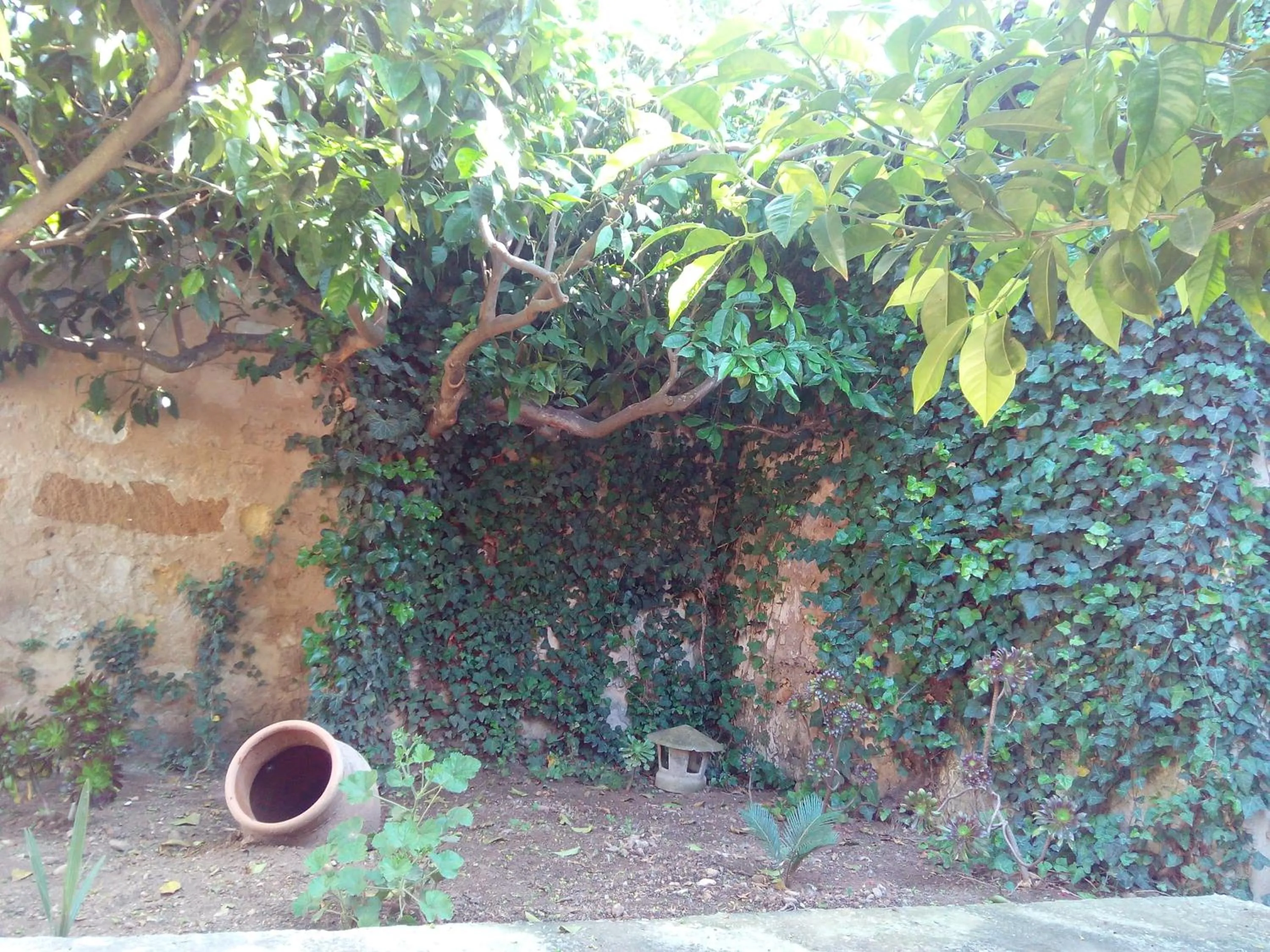 Garden in Baglio Bellavista