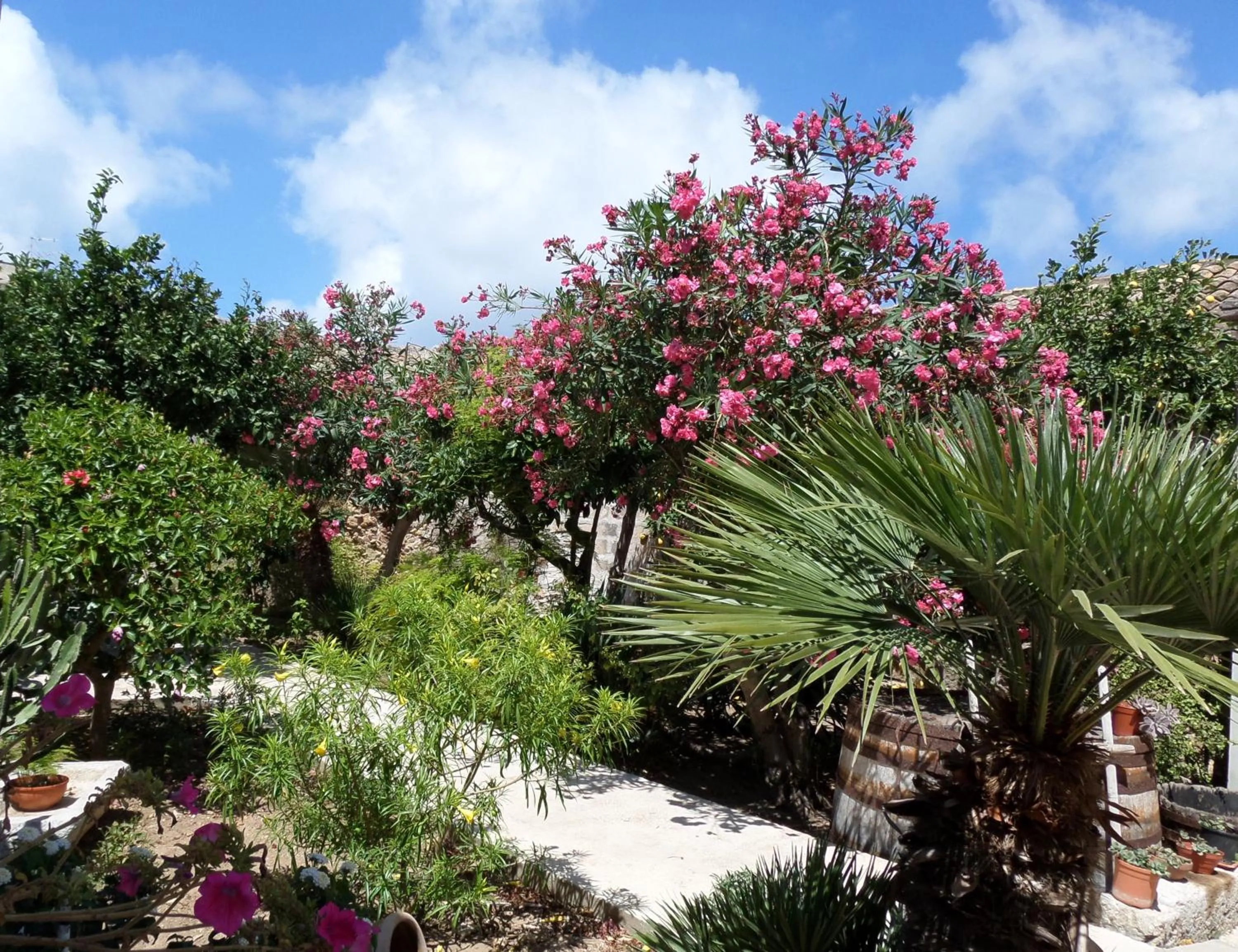 Garden in Baglio Bellavista