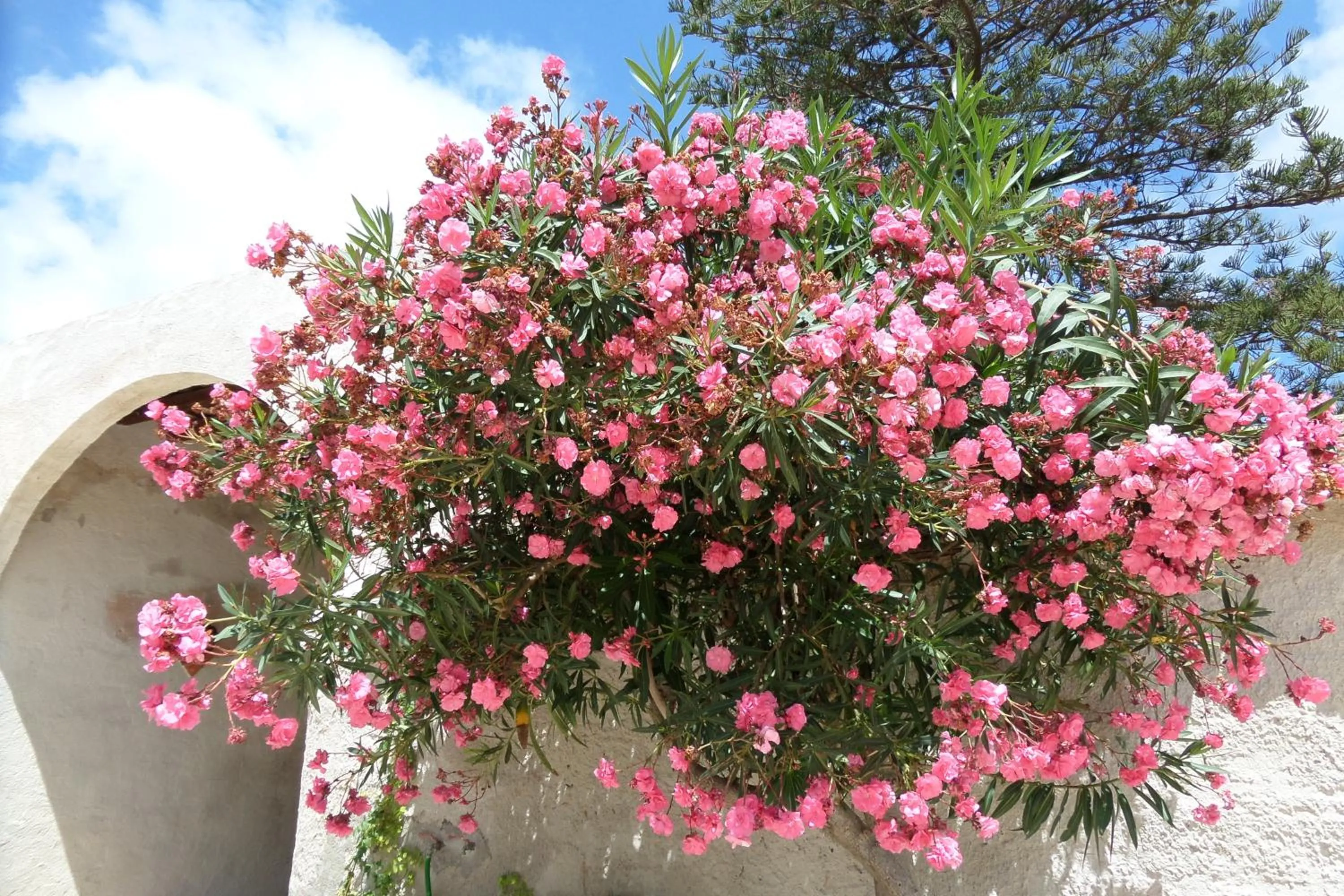 Facade/entrance in Baglio Bellavista