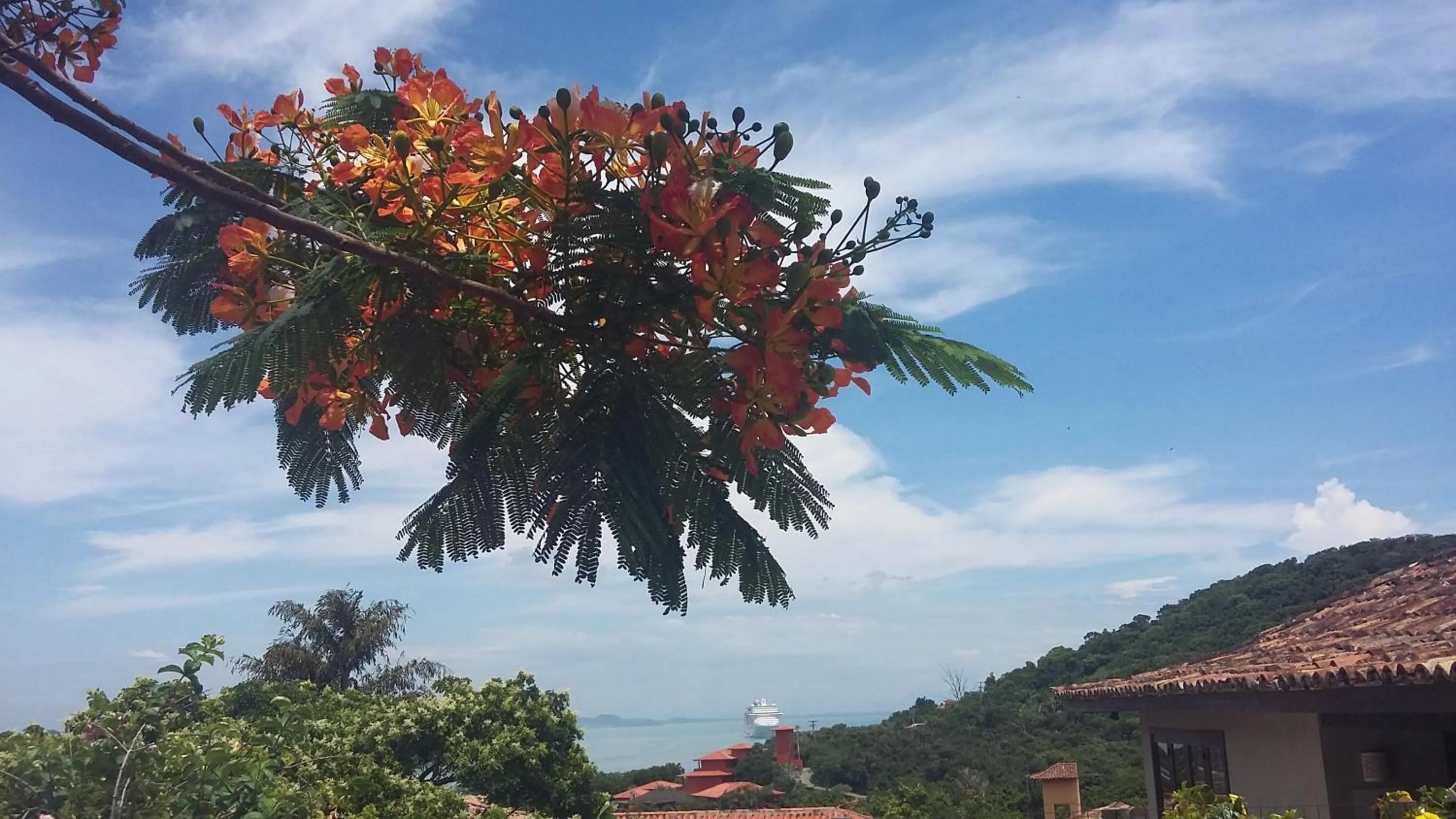 Natural landscape in Pousada Blue Ocean