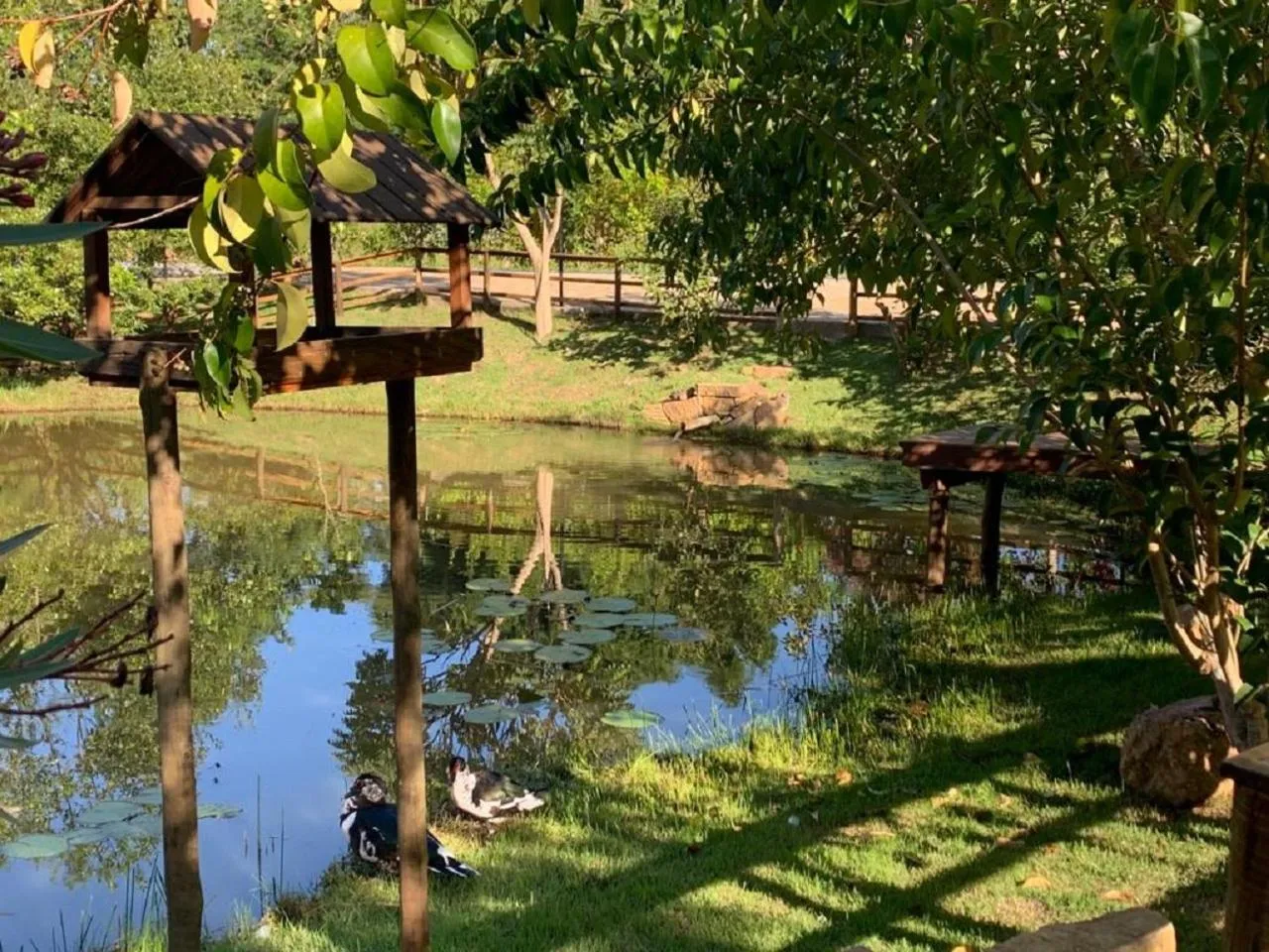 Garden in Pousada Olaria - Chalés e Suítes