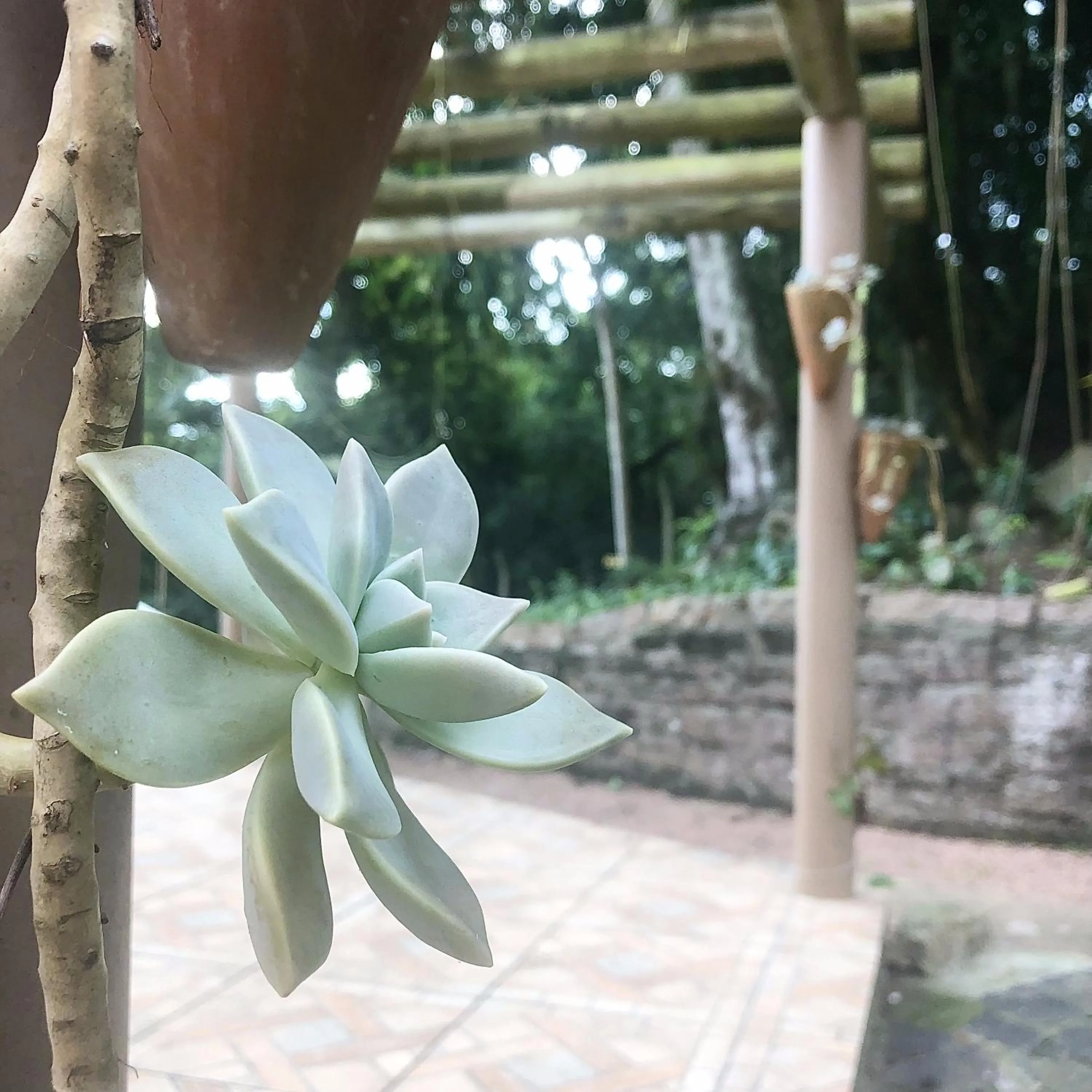 Day in Vila Betânia