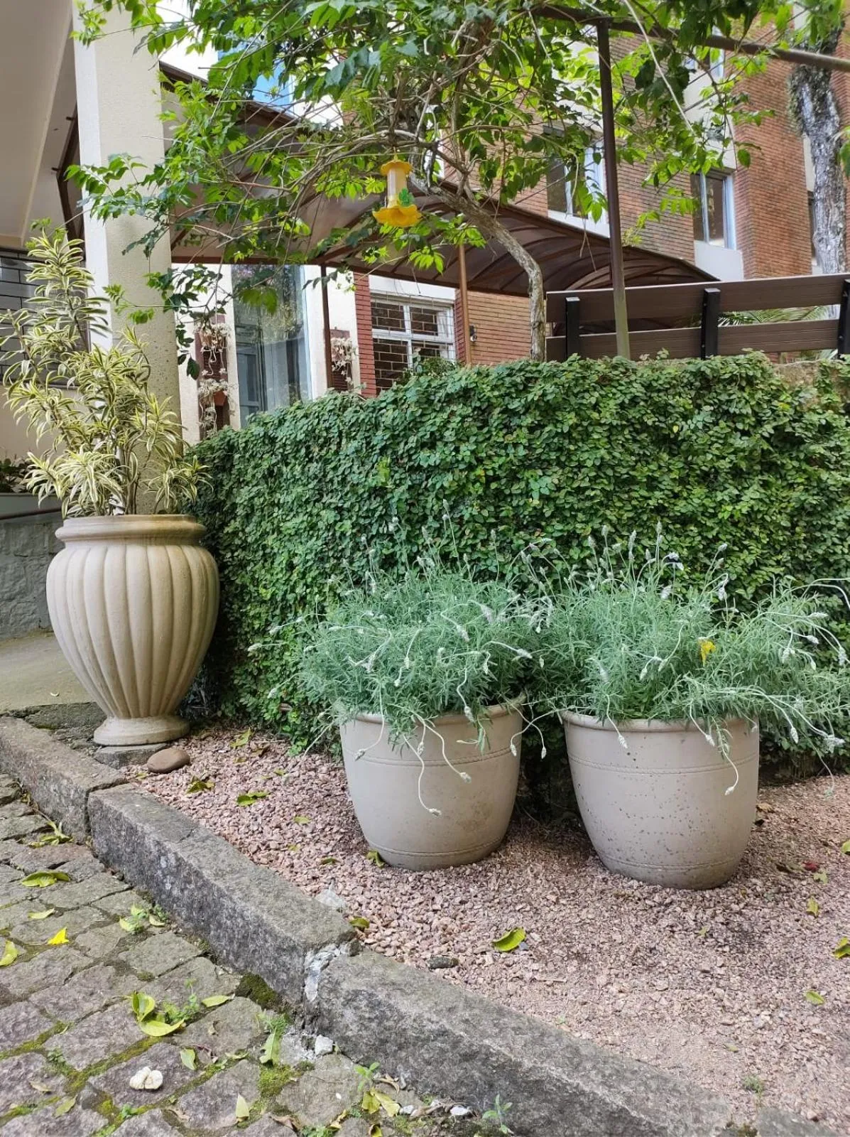 Garden in Vila Betânia