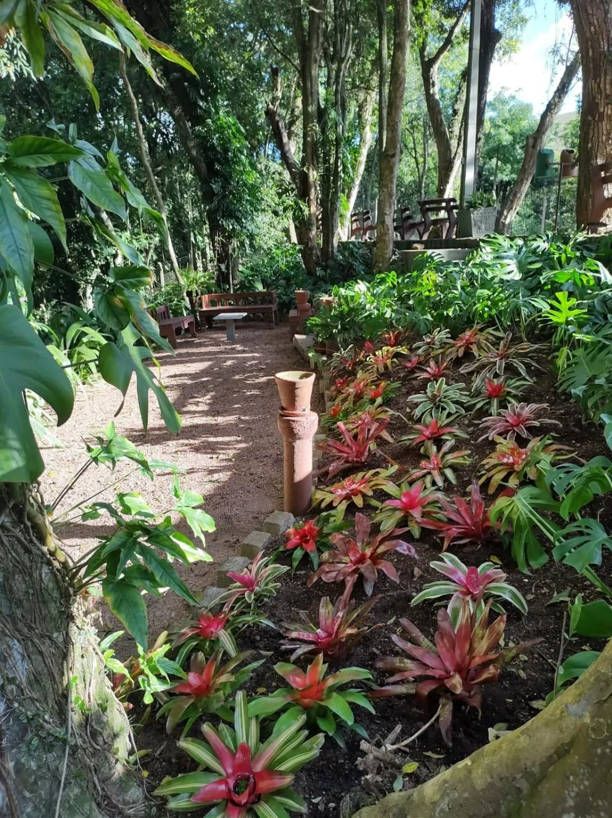 Garden in Vila Betânia