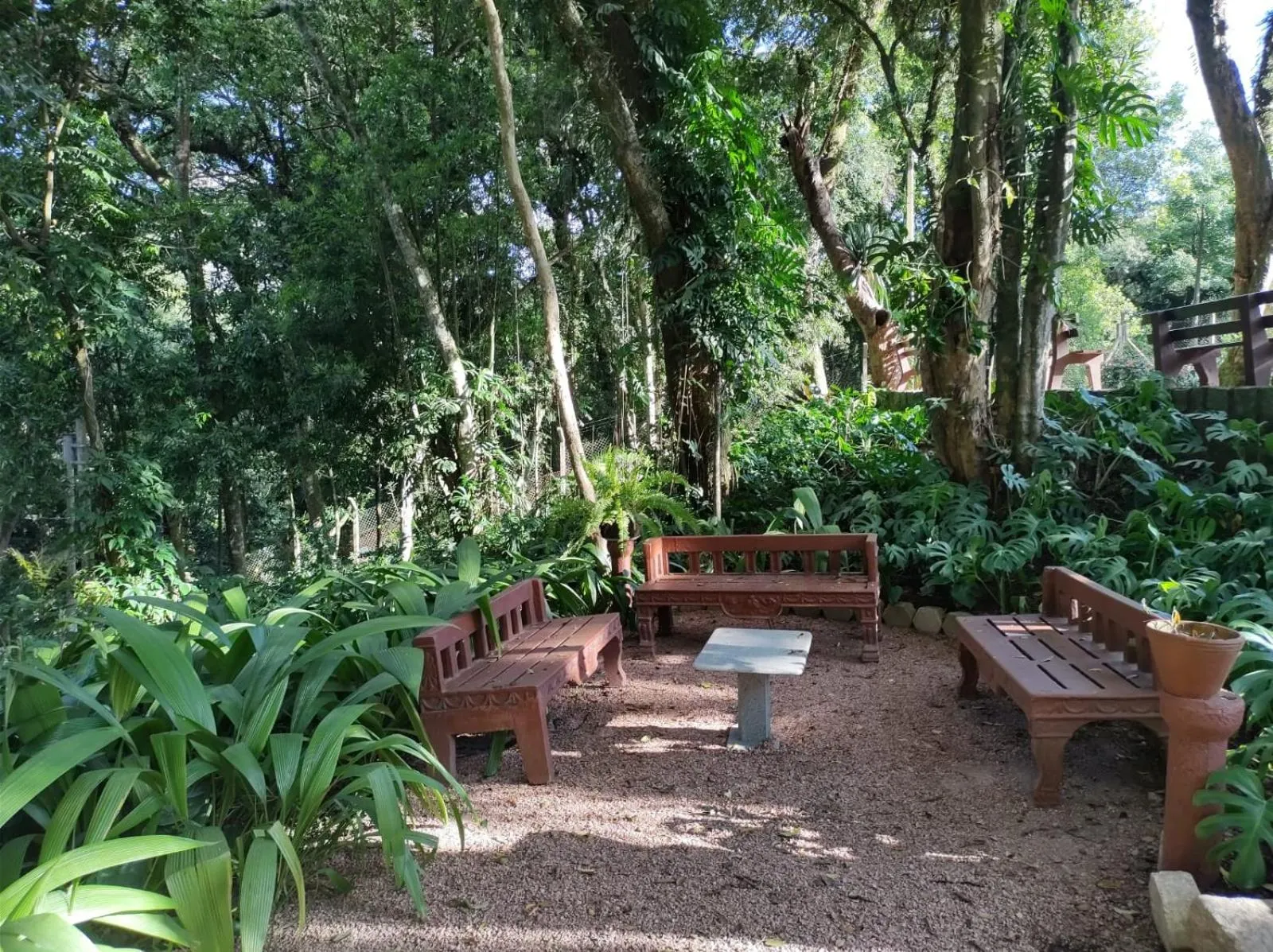 Day in Vila Betânia