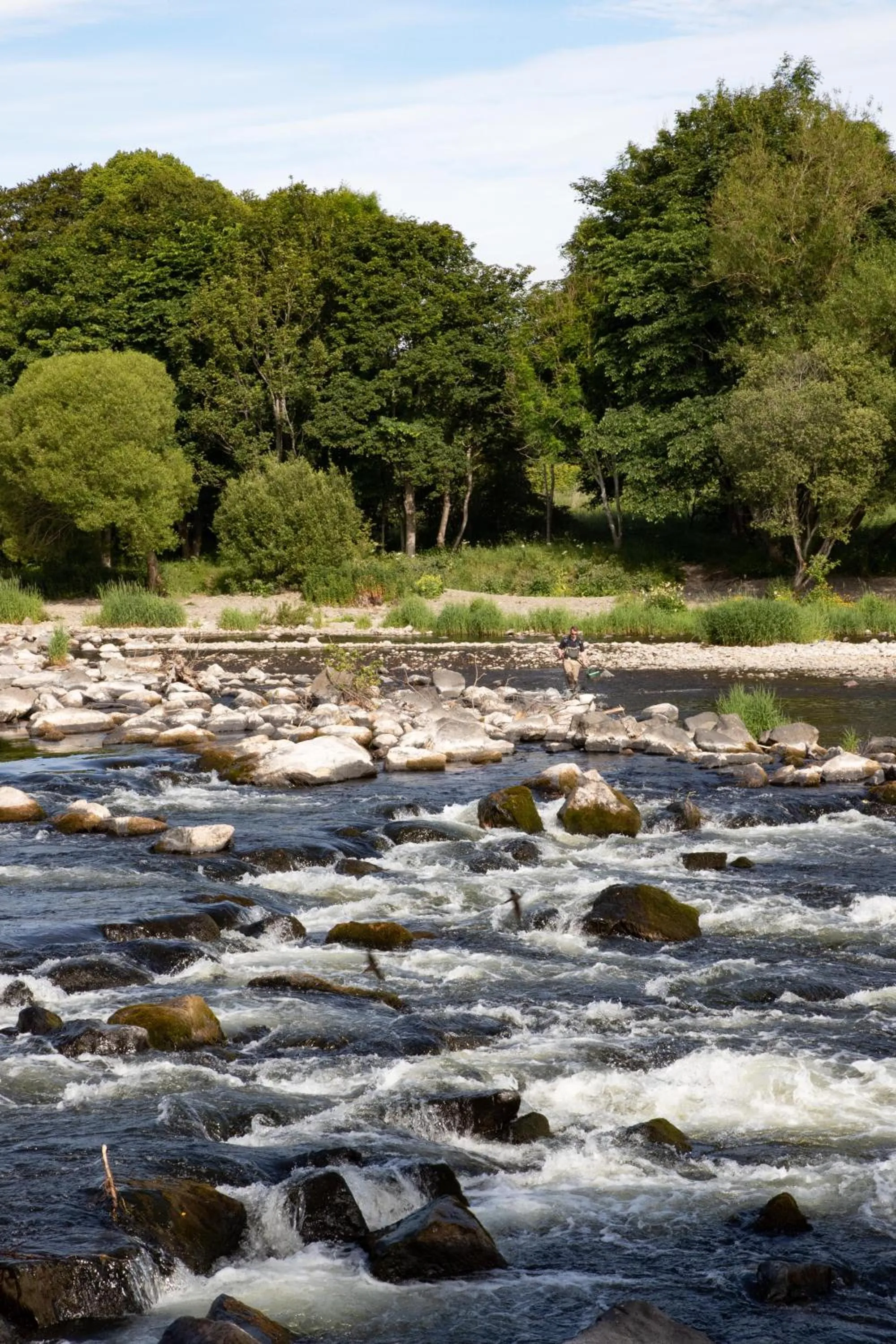 Natural landscape in The Waverley Castle Hotel