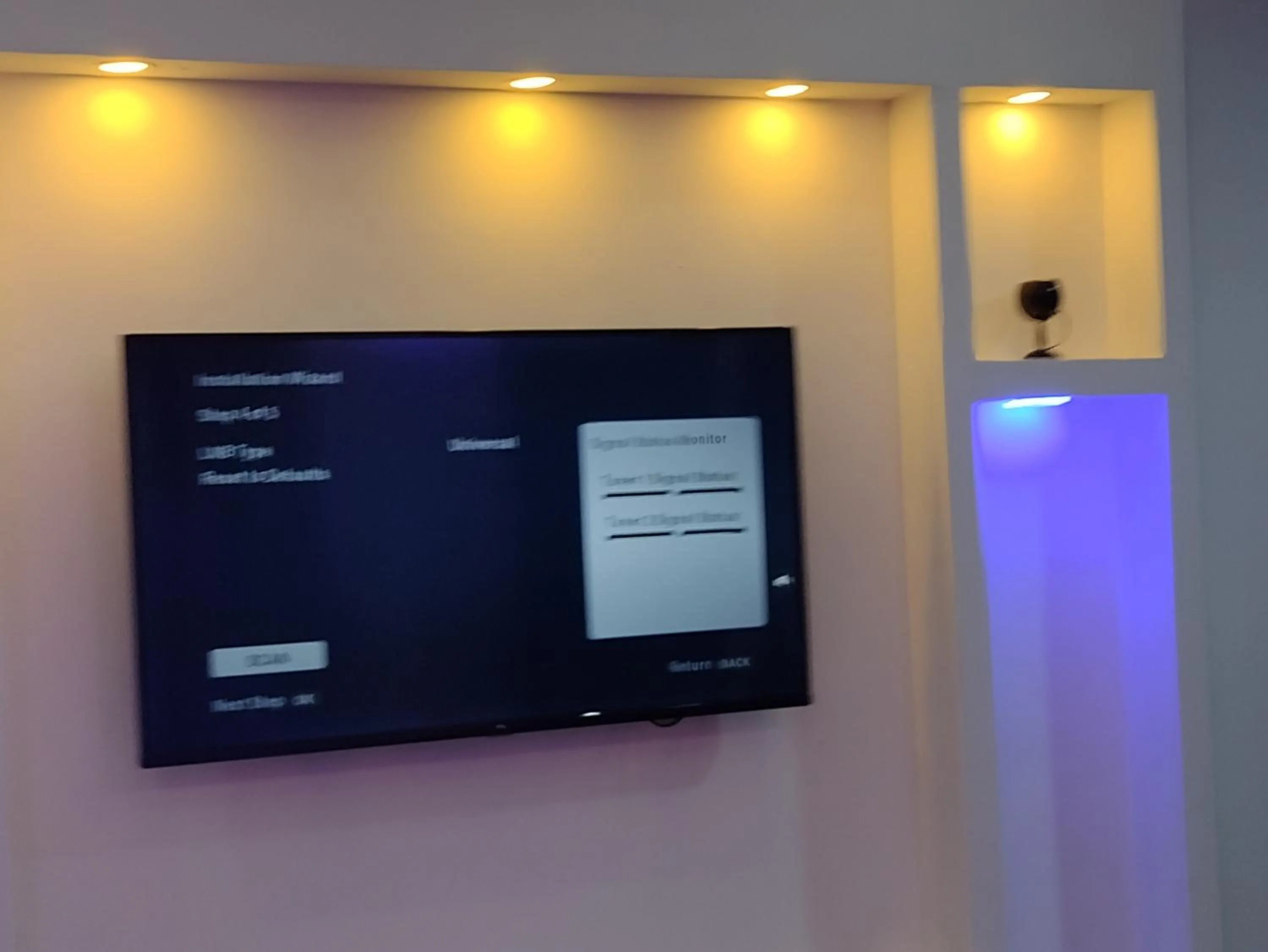 TV and multimedia in Mkamiti Villa - Airport Hotel with Free Shuttle