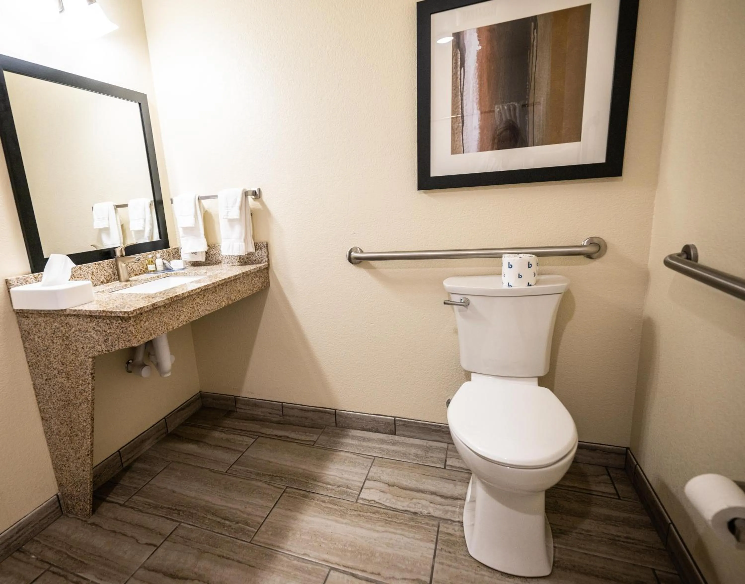 Bathroom in Cobblestone Hotel & Suites - Lamar