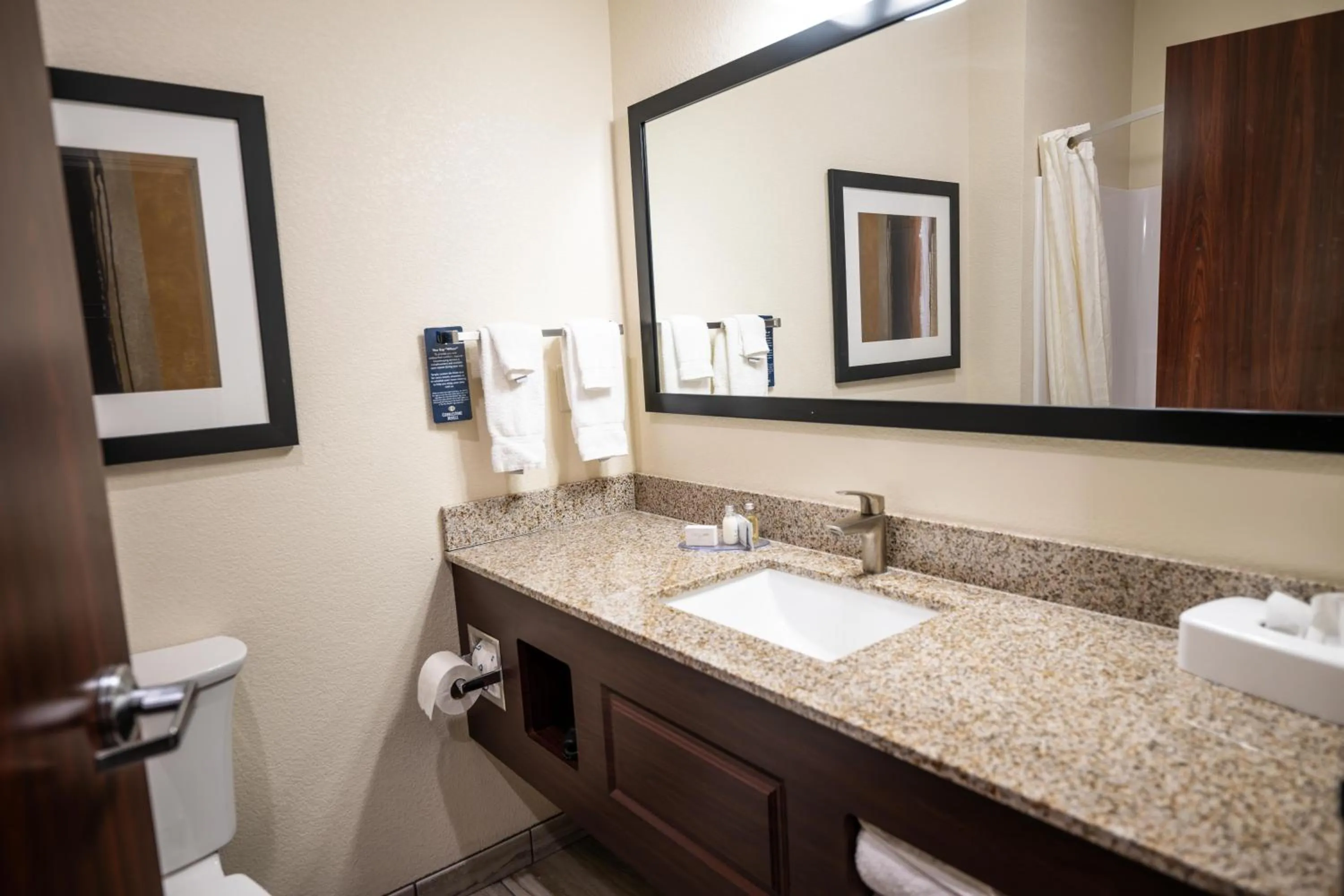 Bathroom in Cobblestone Hotel & Suites - Lamar