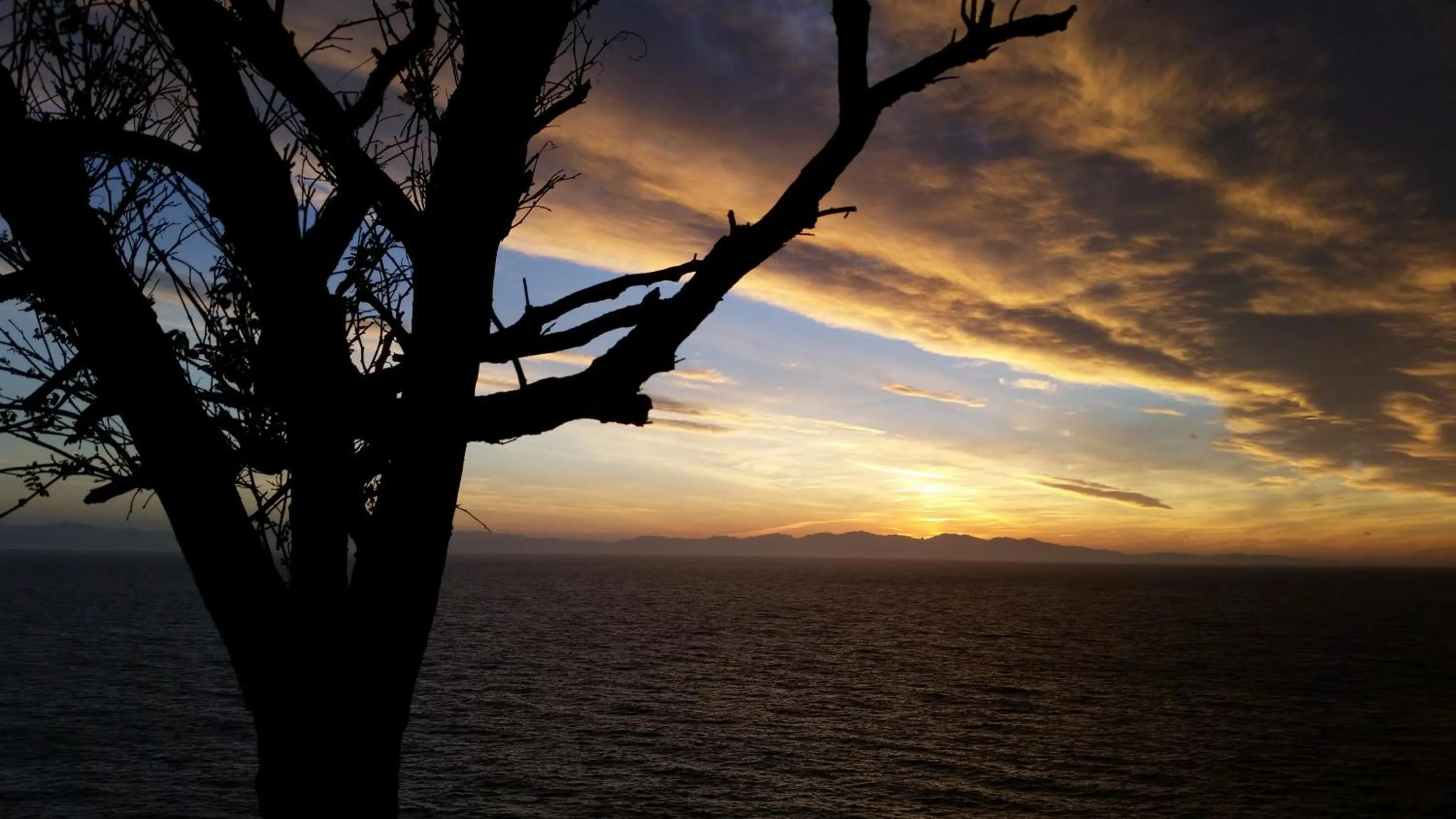Natural landscape in Appartamenti - Villa Mare