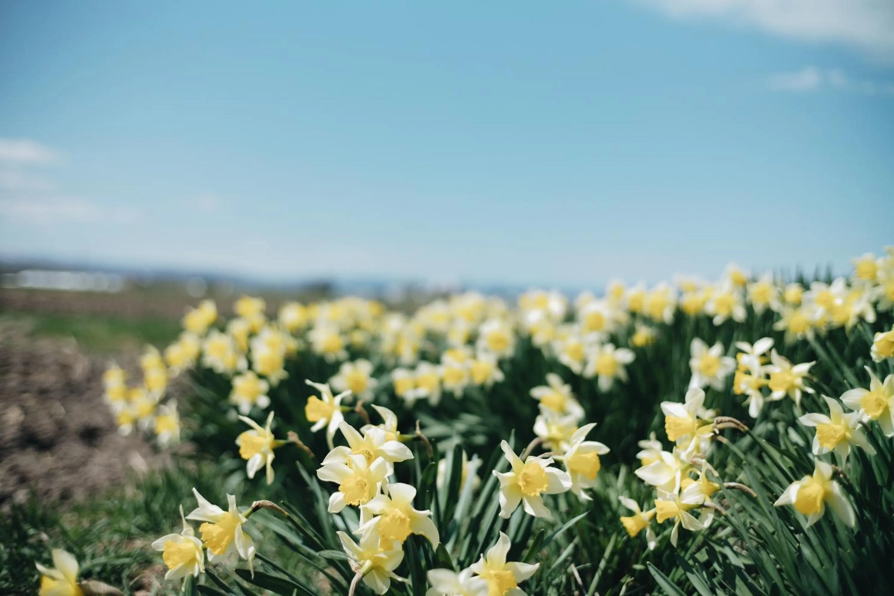 Natural landscape in RONENAI BASE