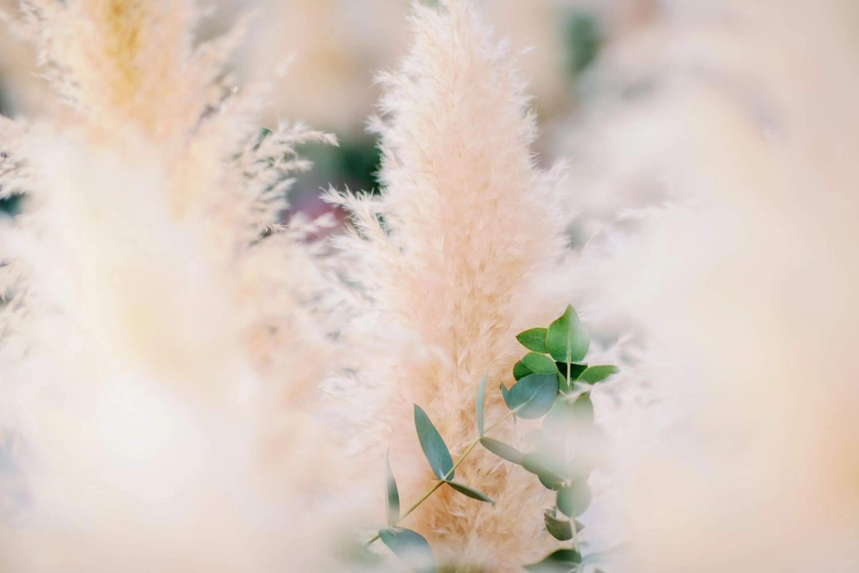 Banquet/Function facilities in W Costa Navarino