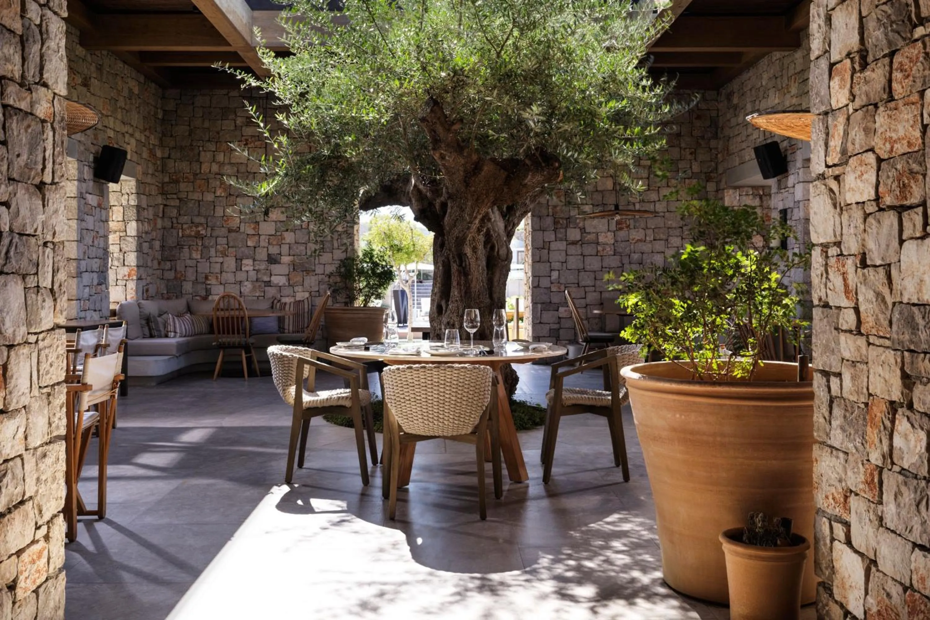 Restaurant/places to eat in W Costa Navarino