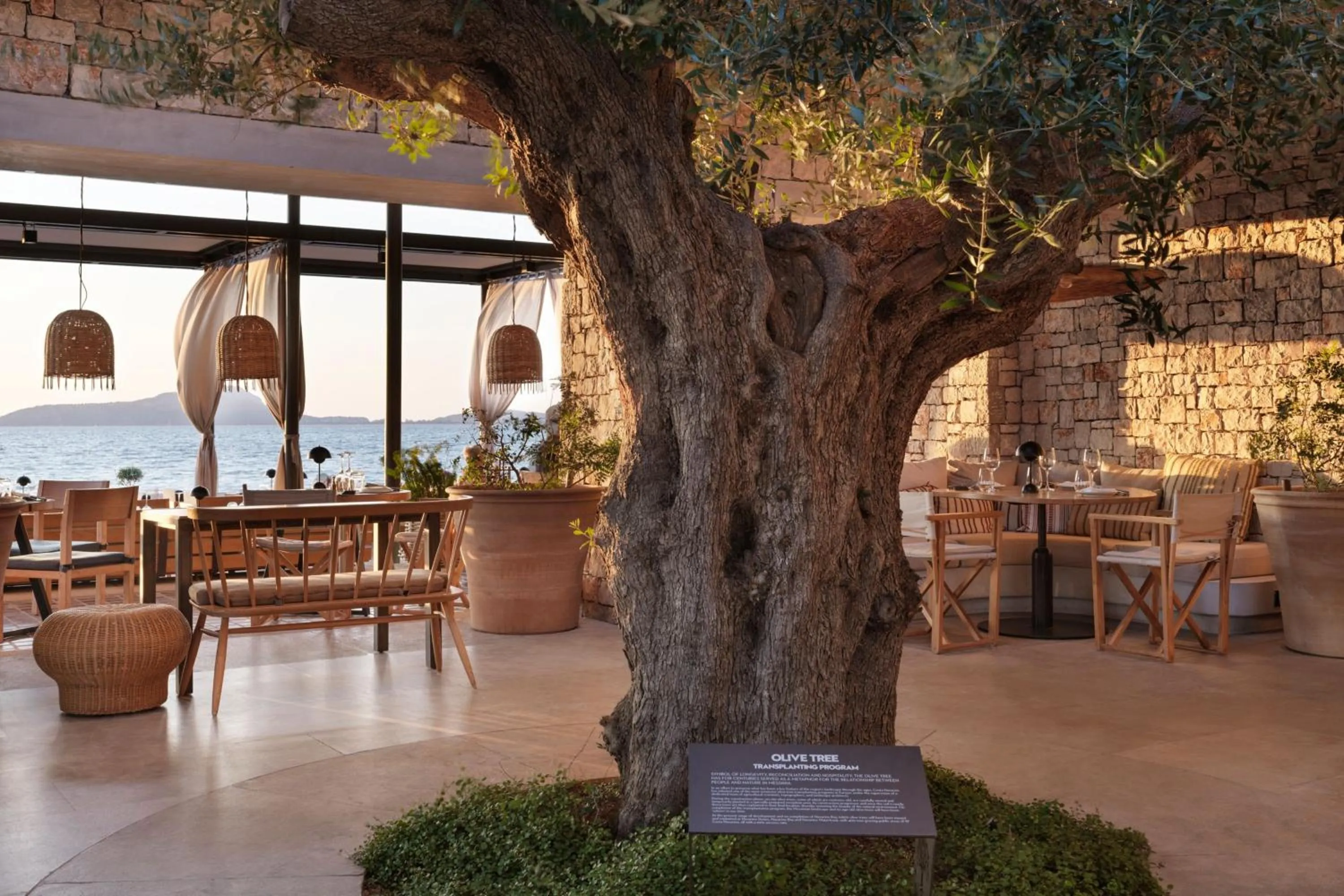 Restaurant/places to eat in W Costa Navarino