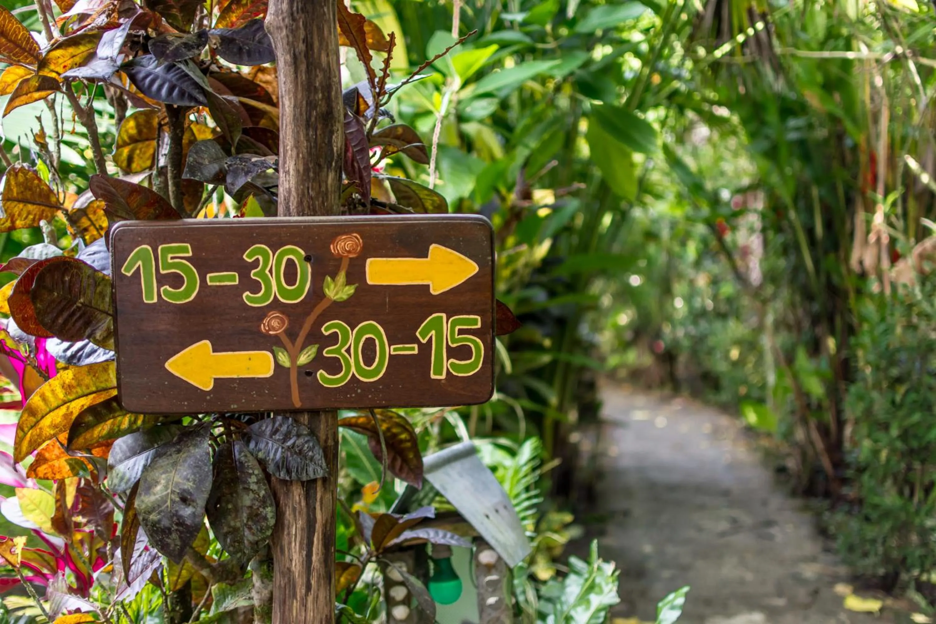 Garden in Atlantida Lodge Cahuita
