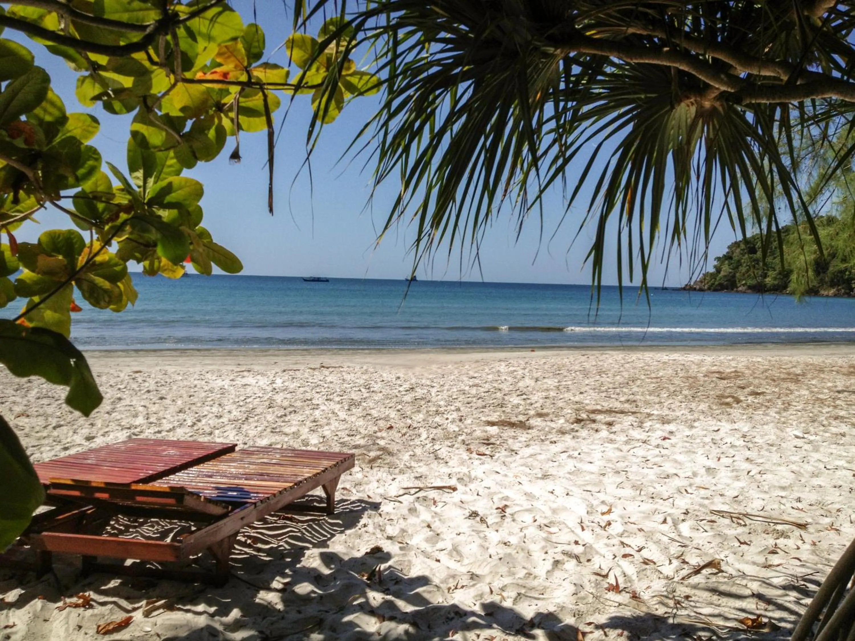 Beach in Frog Beach House
