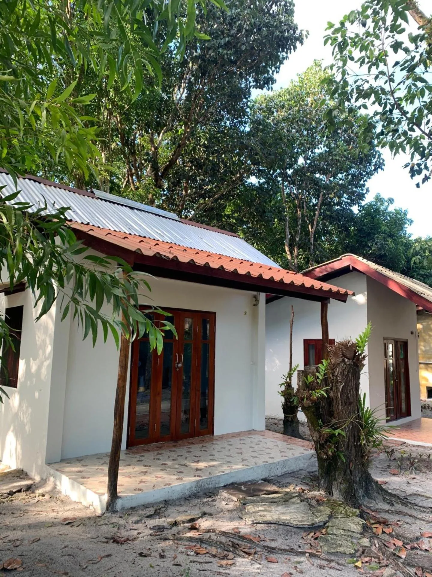 Property building in Frog Beach House