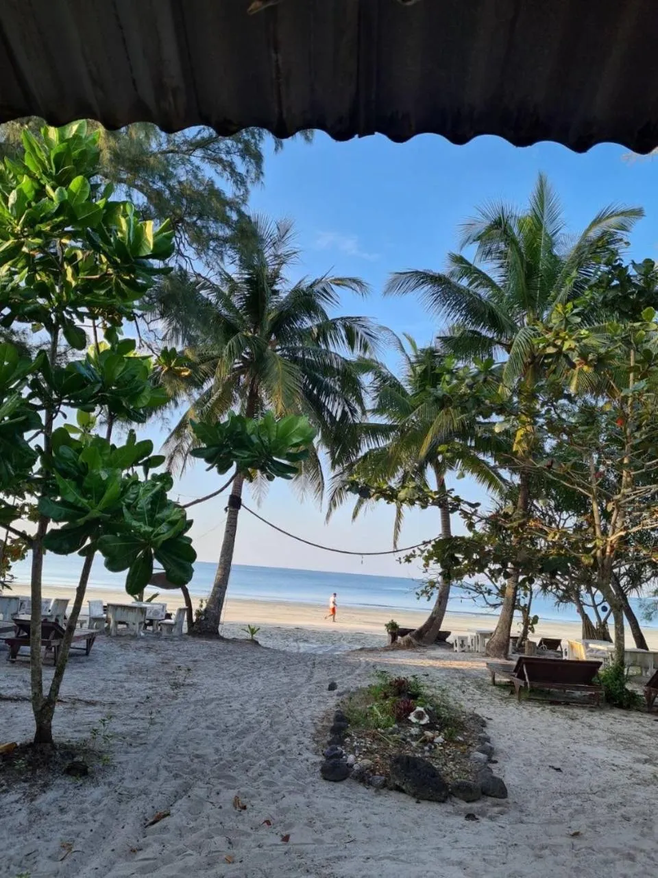 Beach in Frog Beach House