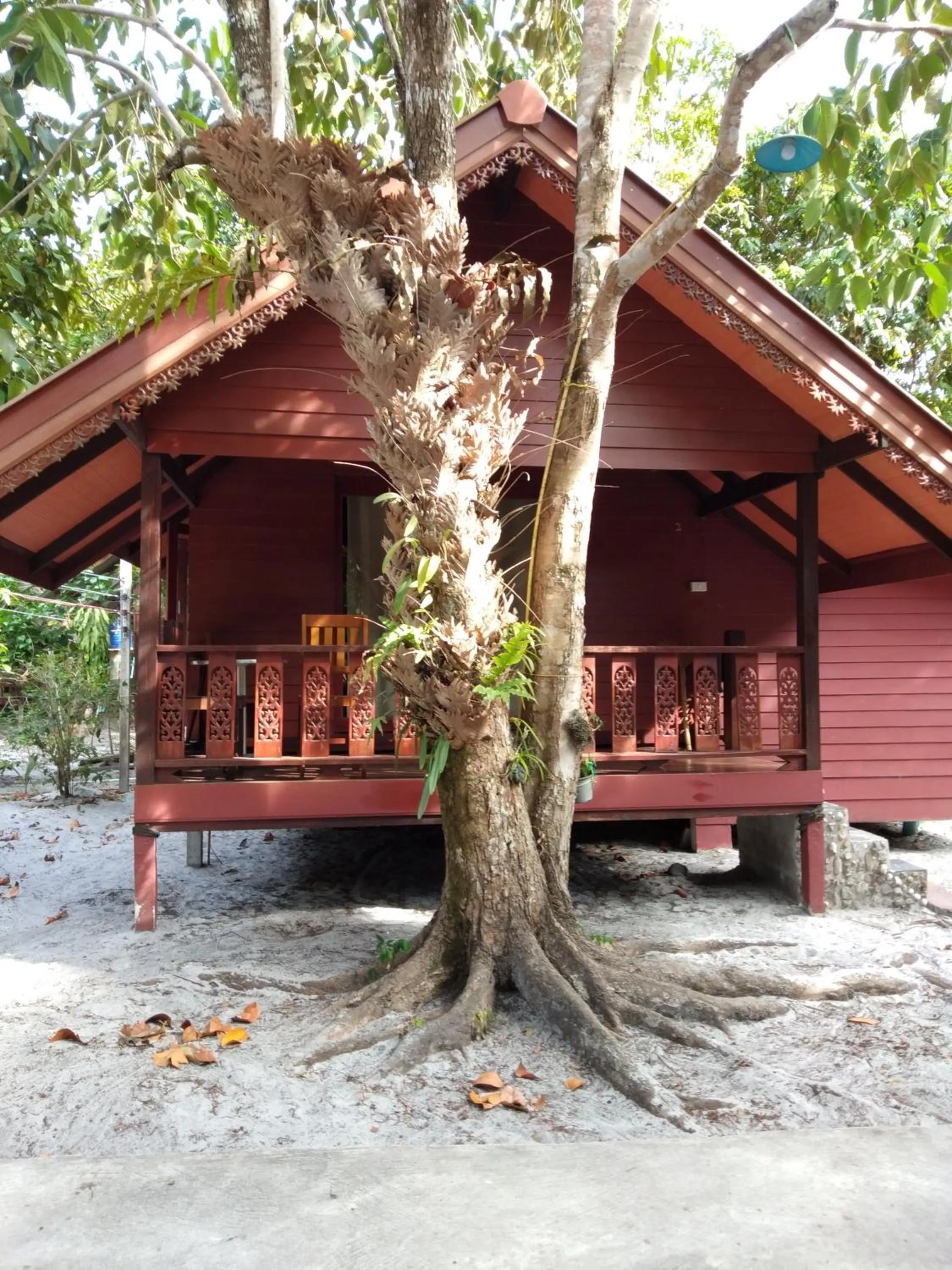 Property building in Frog Beach House