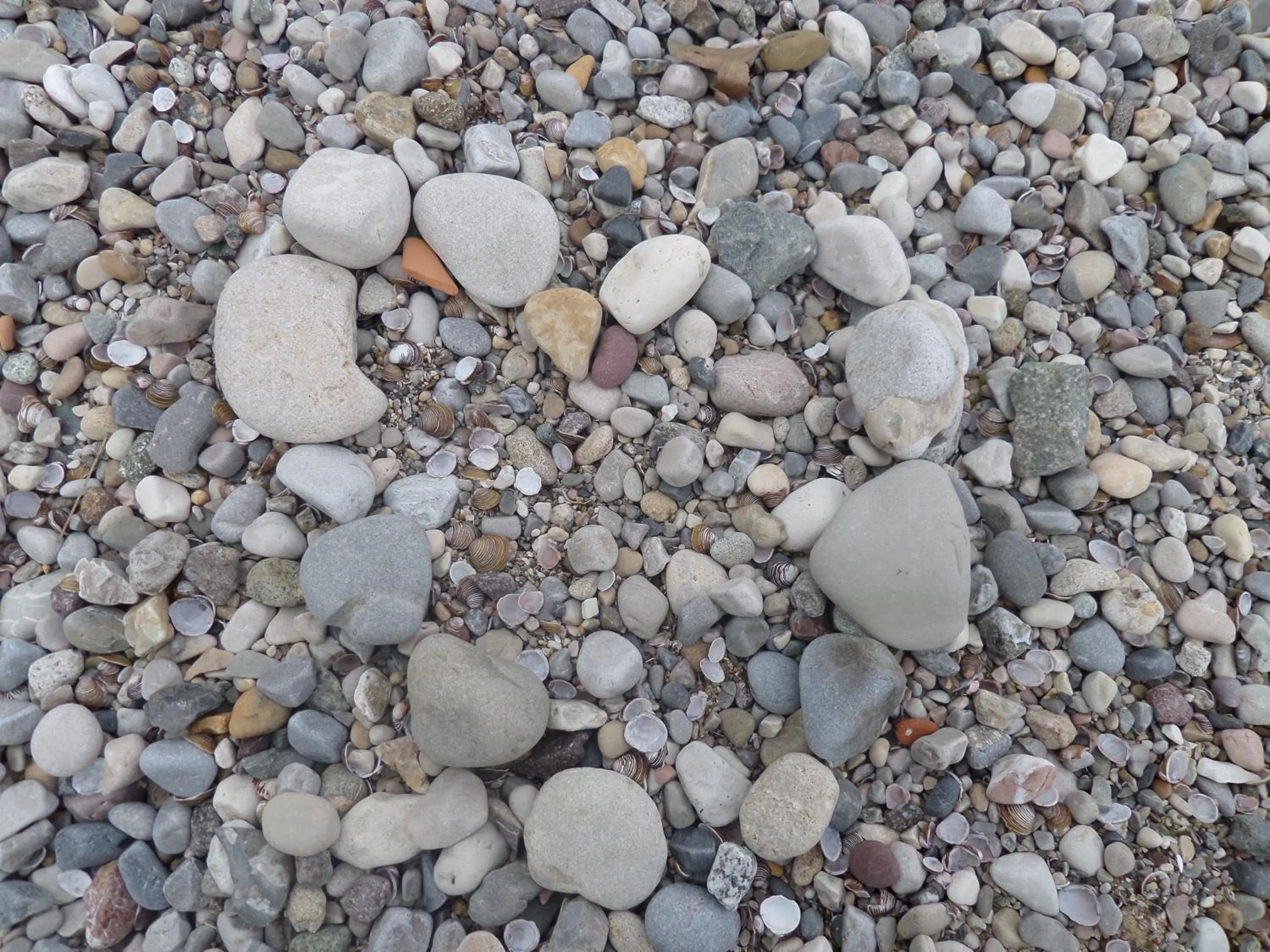 Other in Hotel Astoria