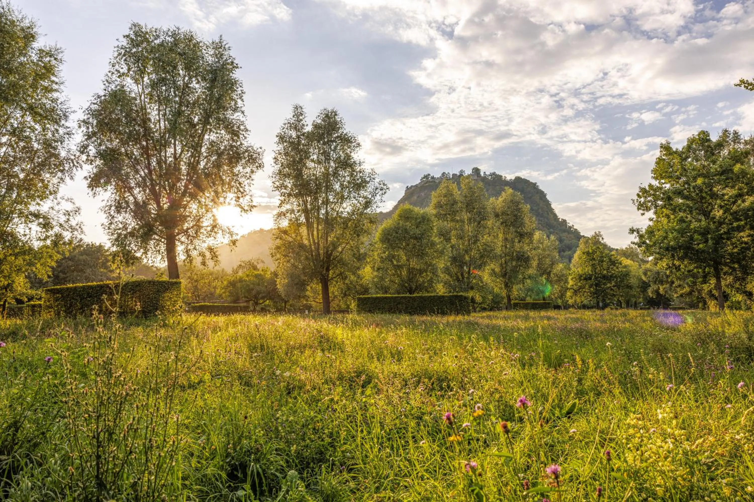 Hiking in Ibis Budget Singen