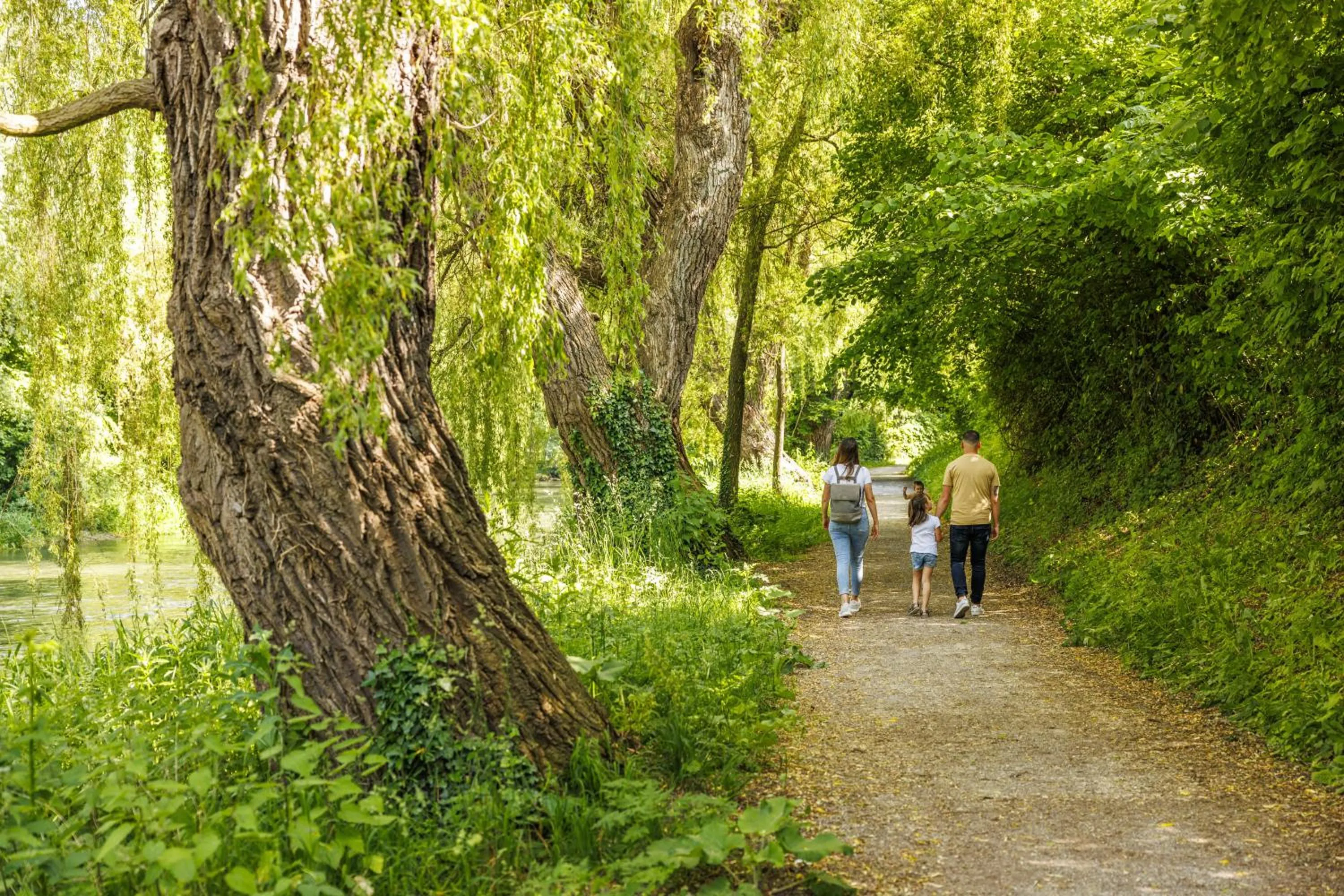 Hiking in Ibis Styles Singen