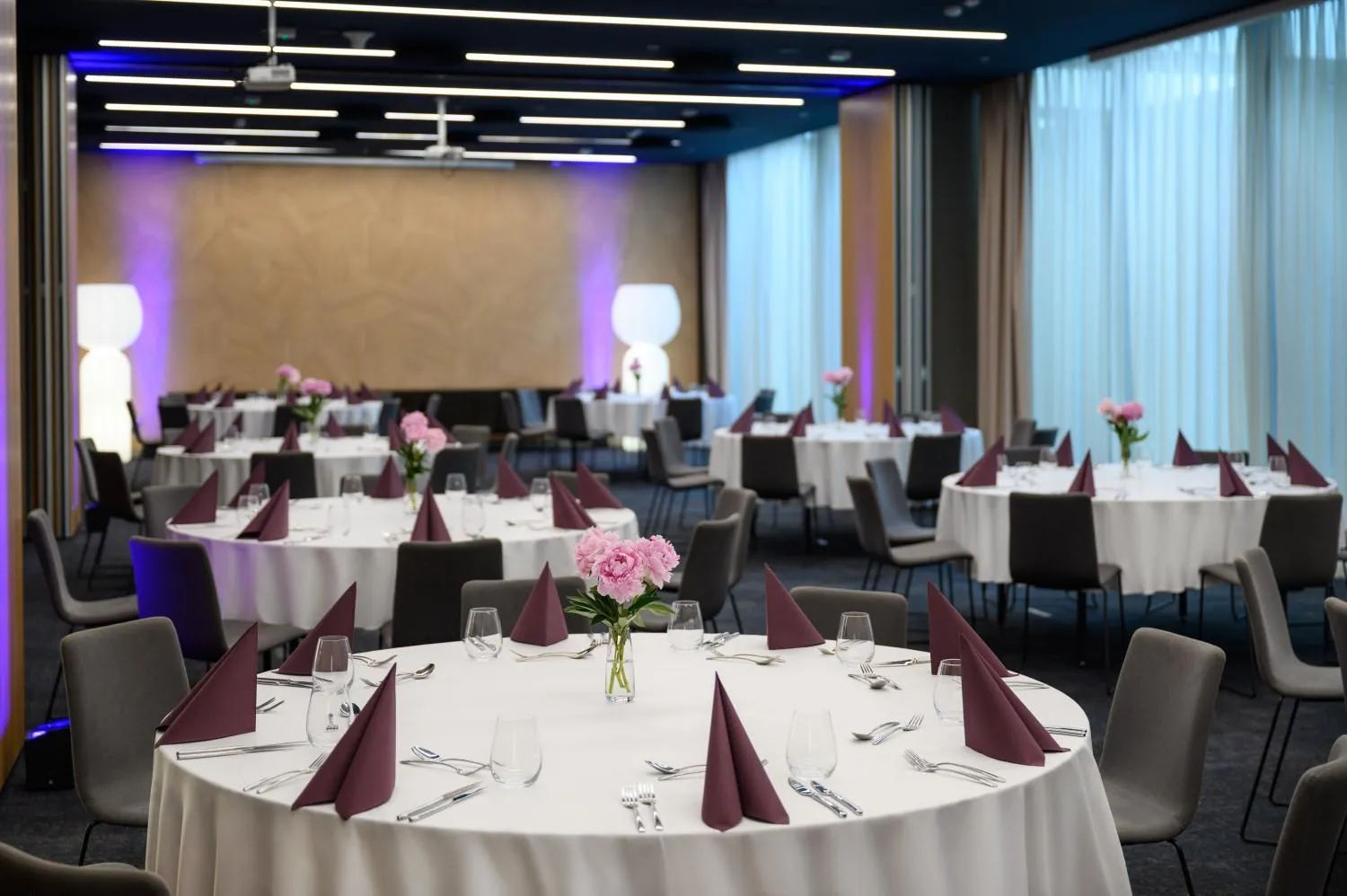 Banquet/Function facilities in Mercure Debrecen