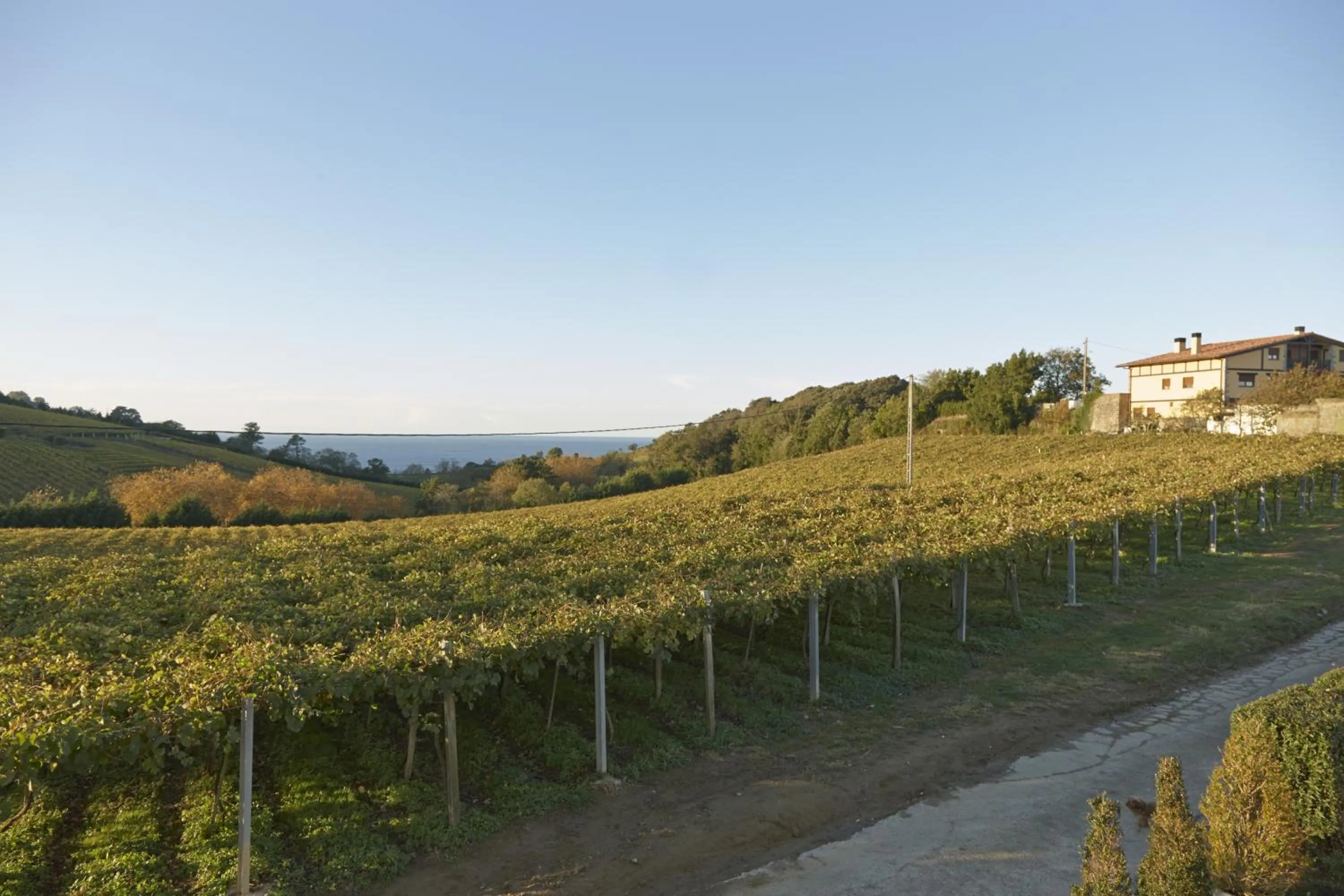 View (from property/room) in Hotel San Prudentzio