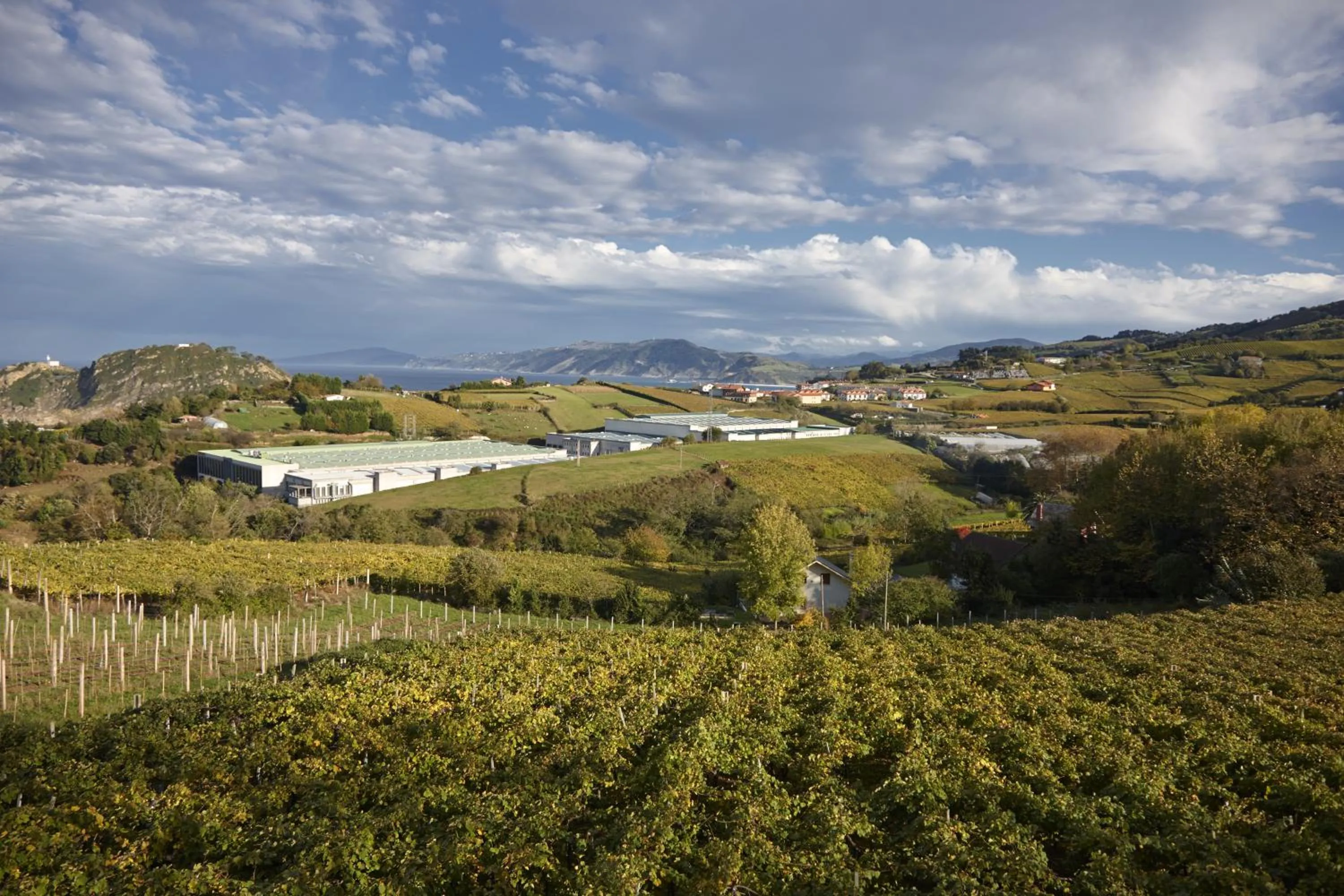 View (from property/room) in Hotel San Prudentzio