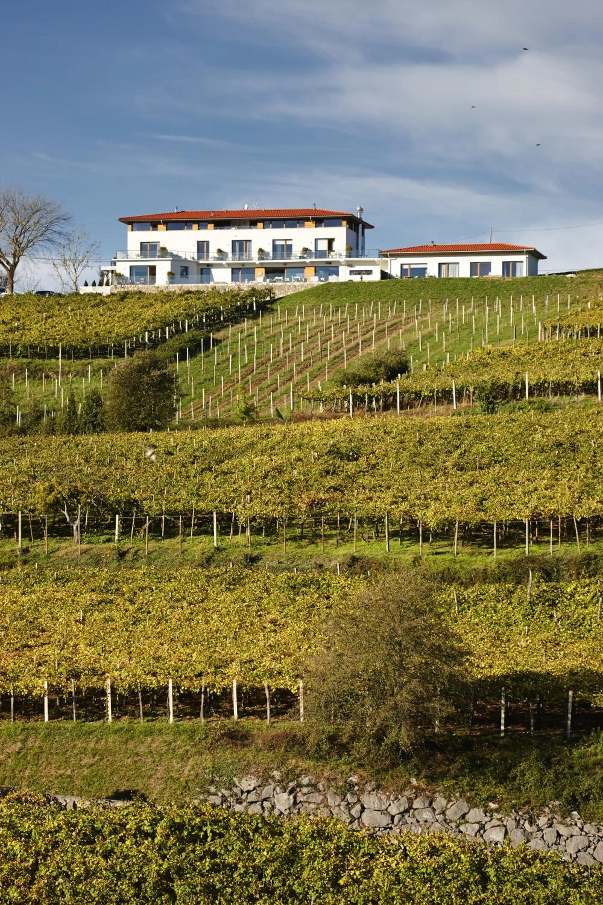 Facade/entrance in Hotel San Prudentzio